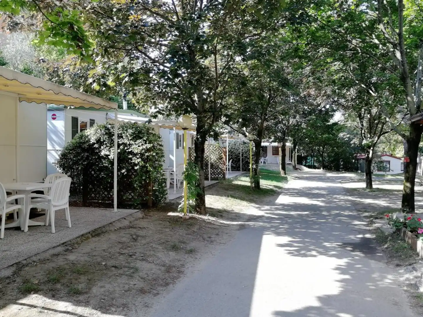 Camping Daino Terrasse