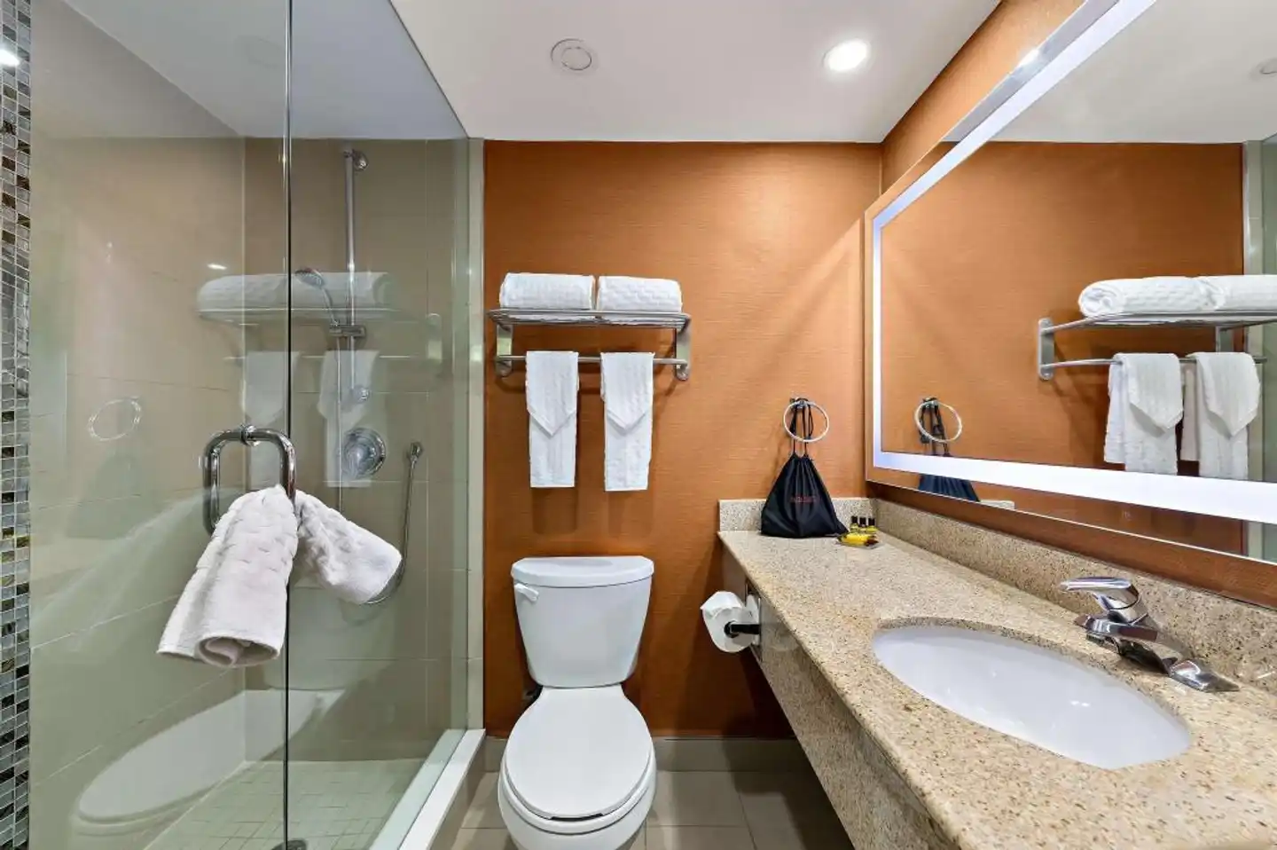 Best Western Plus Toronto North York Hotel & Suites Badezimmer