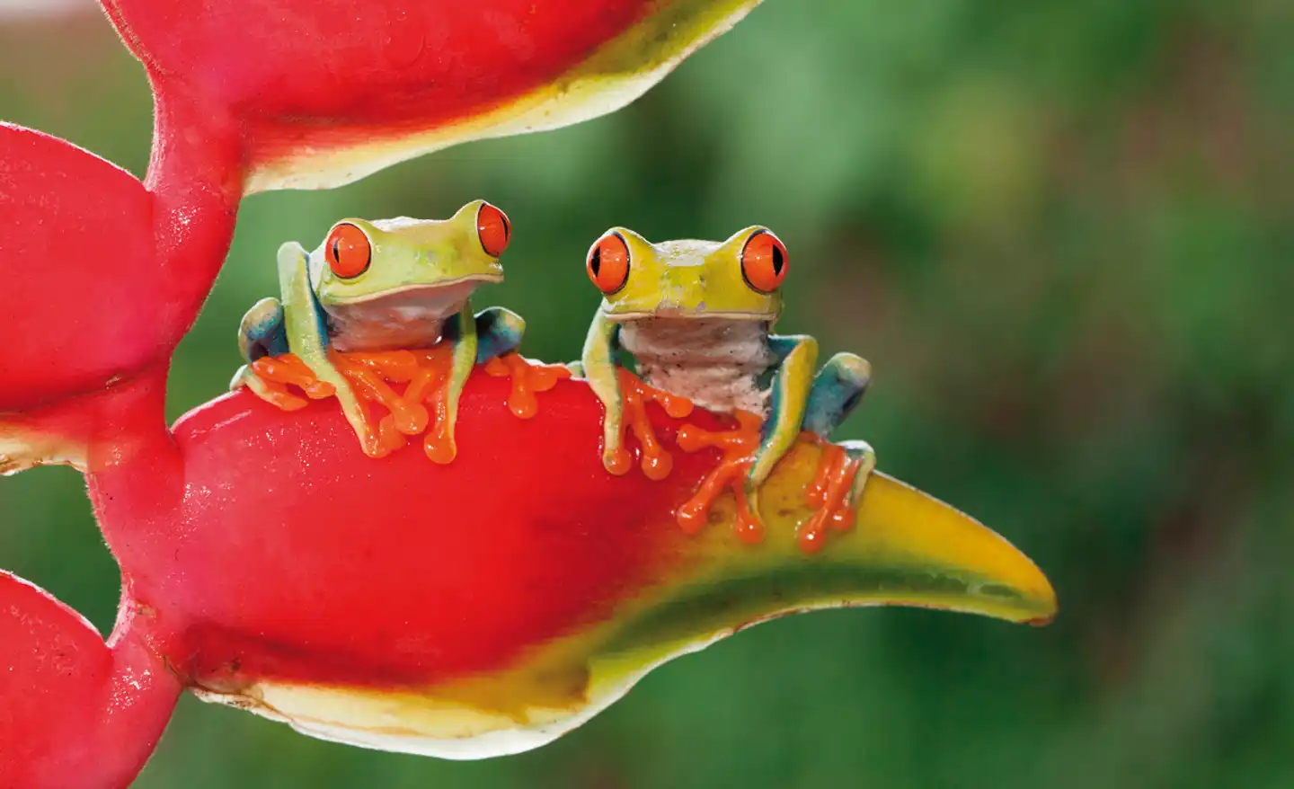 Abenteuer Costa Rica Deluxe Privatrundreise Sport und Entertainment