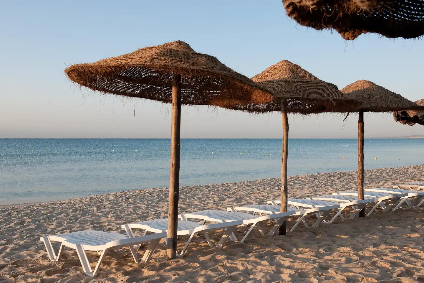 Sentido Phenicia BEACH