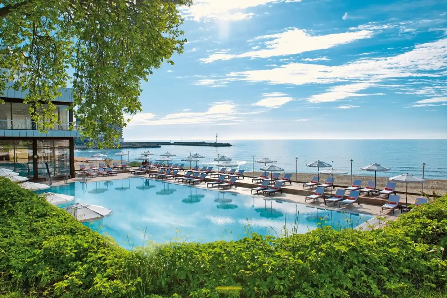 The Palace Hotel Pool