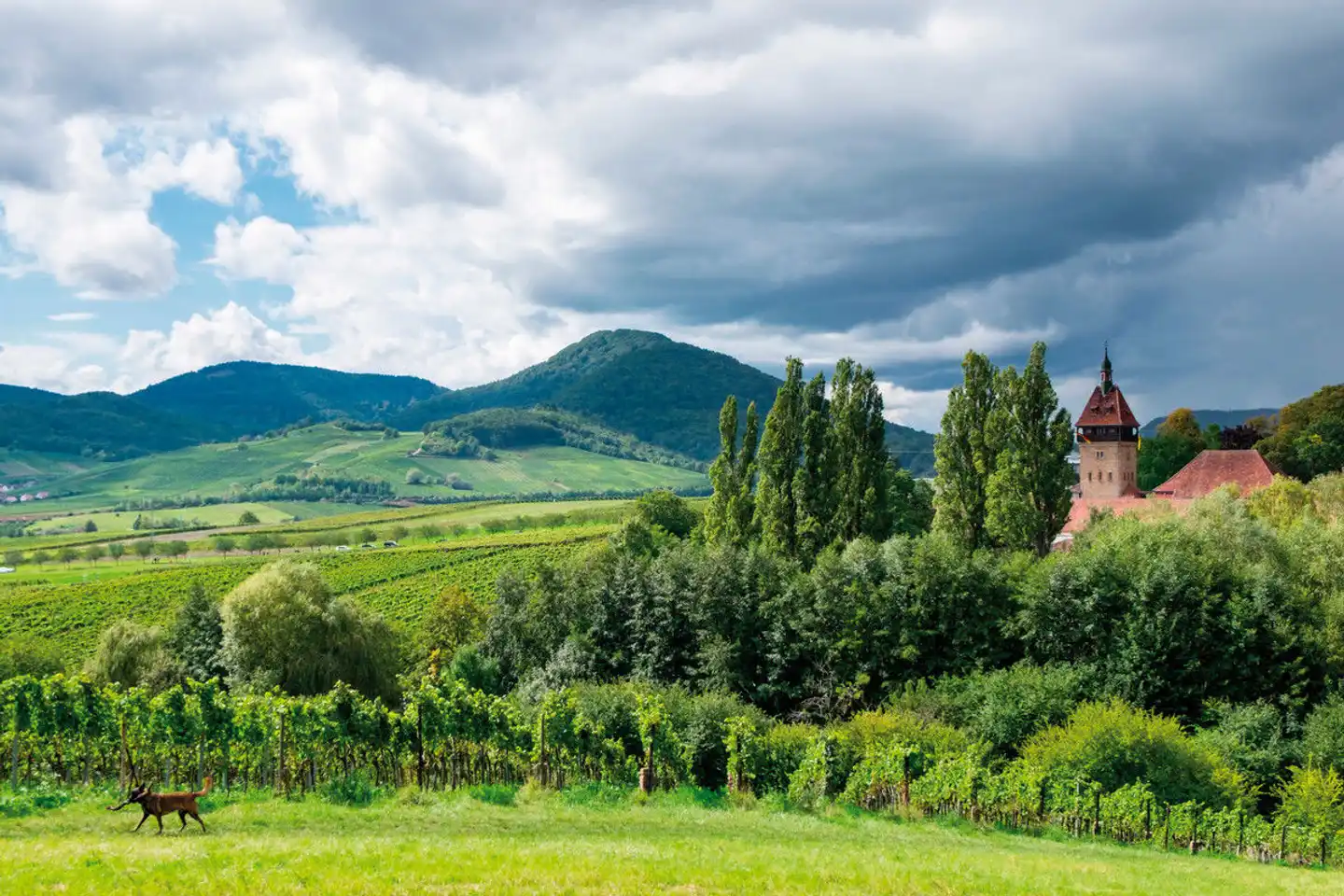 Victor's Residenz-Hotel Frankenthal Landschaft