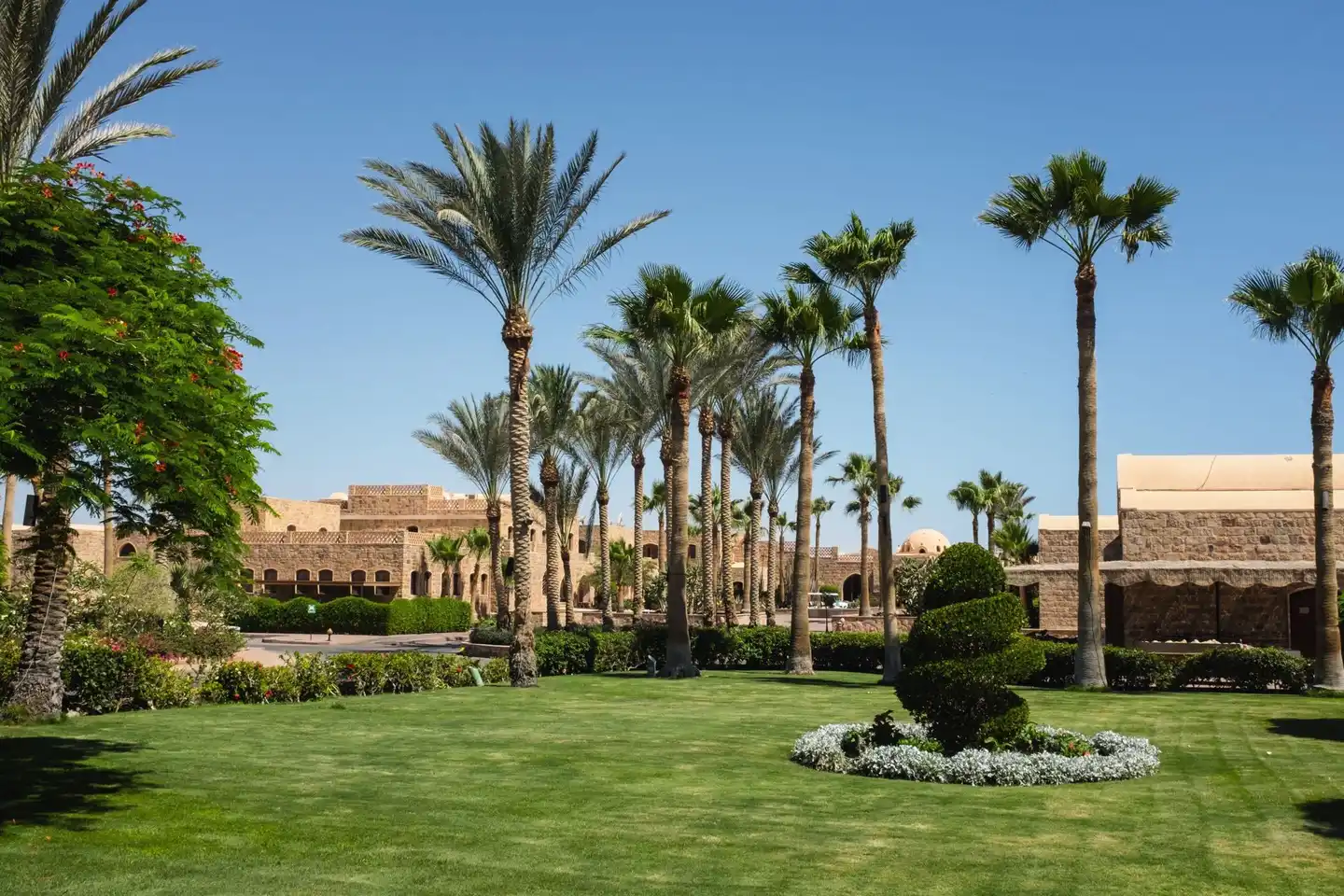Mövenpick Resort El Quseir Garten