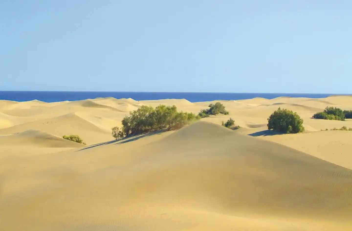 Parque Tropical Landschaft