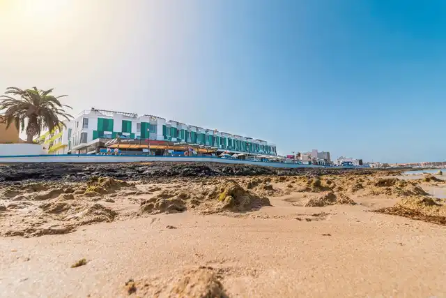 LIVVO Corralejo Beach Landschaft