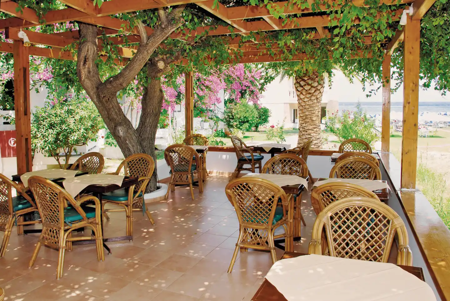 Paradise Terrasse