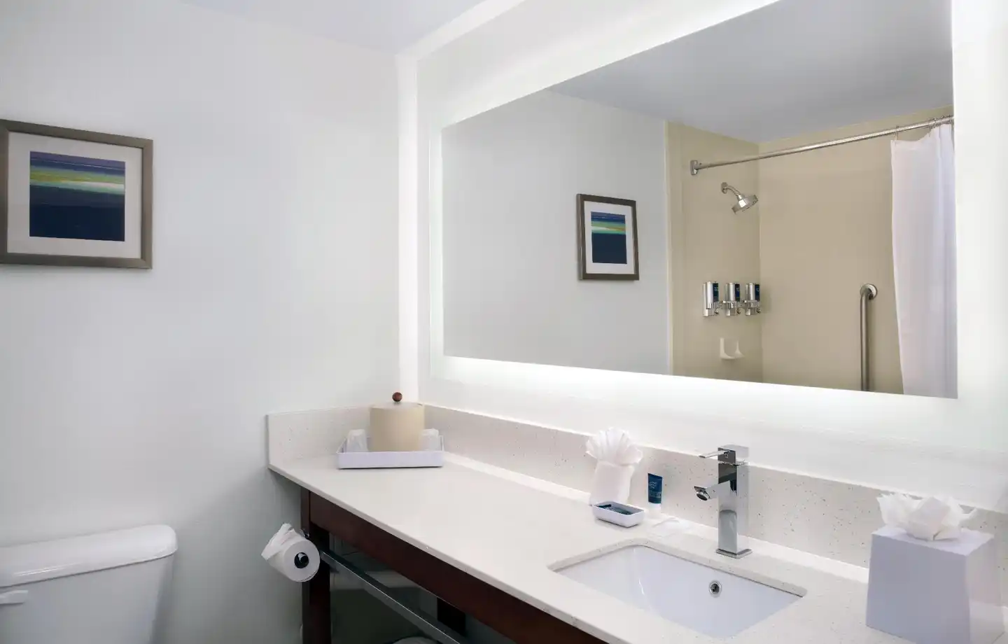 Four Points by Sheraton Fort Lauderdale Airport/Cruise Port Badezimmer