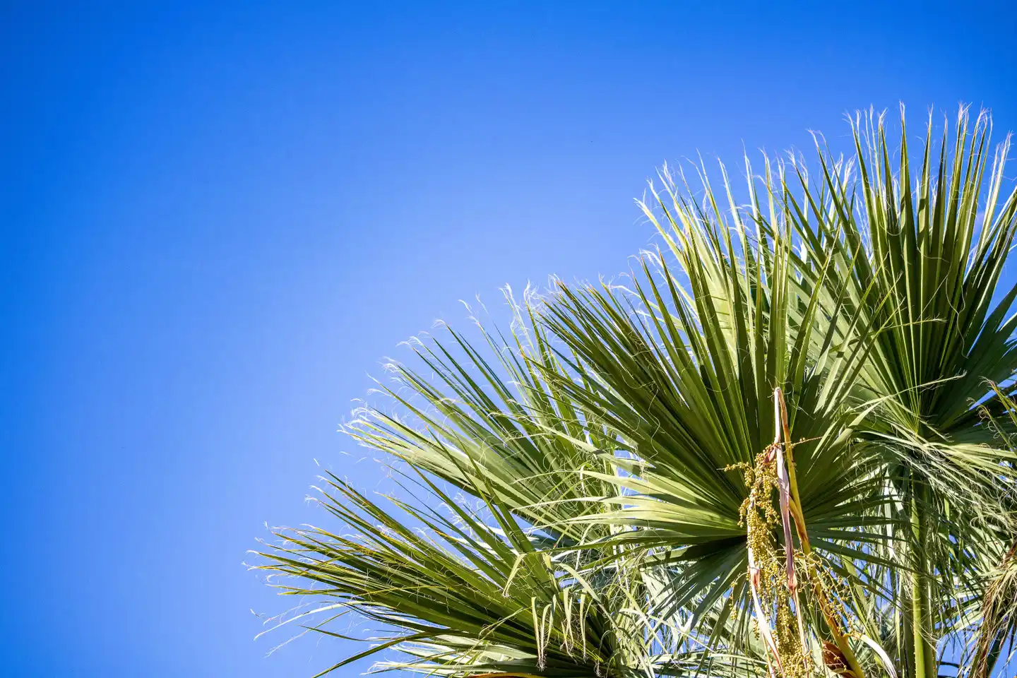 Almyros Beach Resort & Spa Aussenansicht