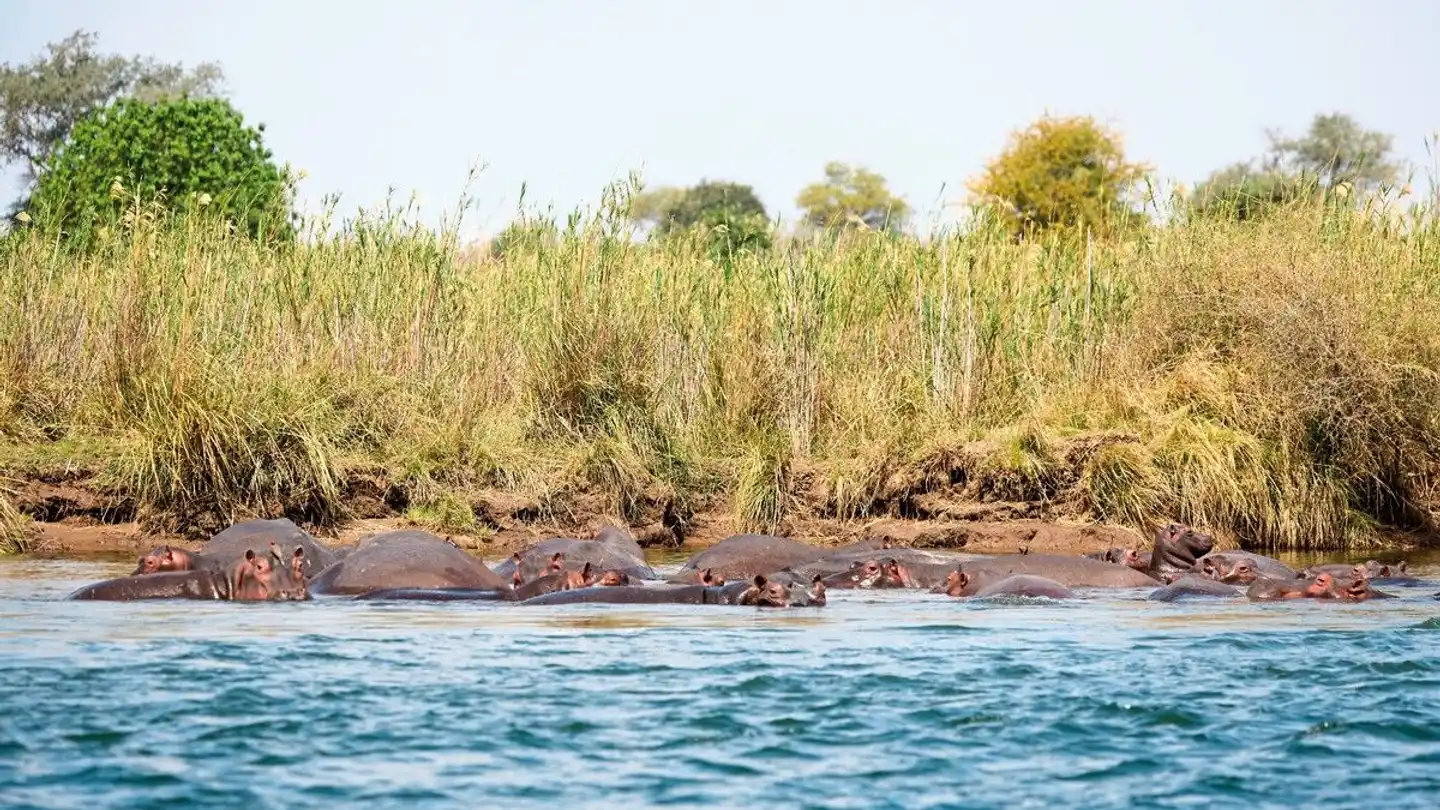 Zambezi Queen 2 Nächte Landschaft