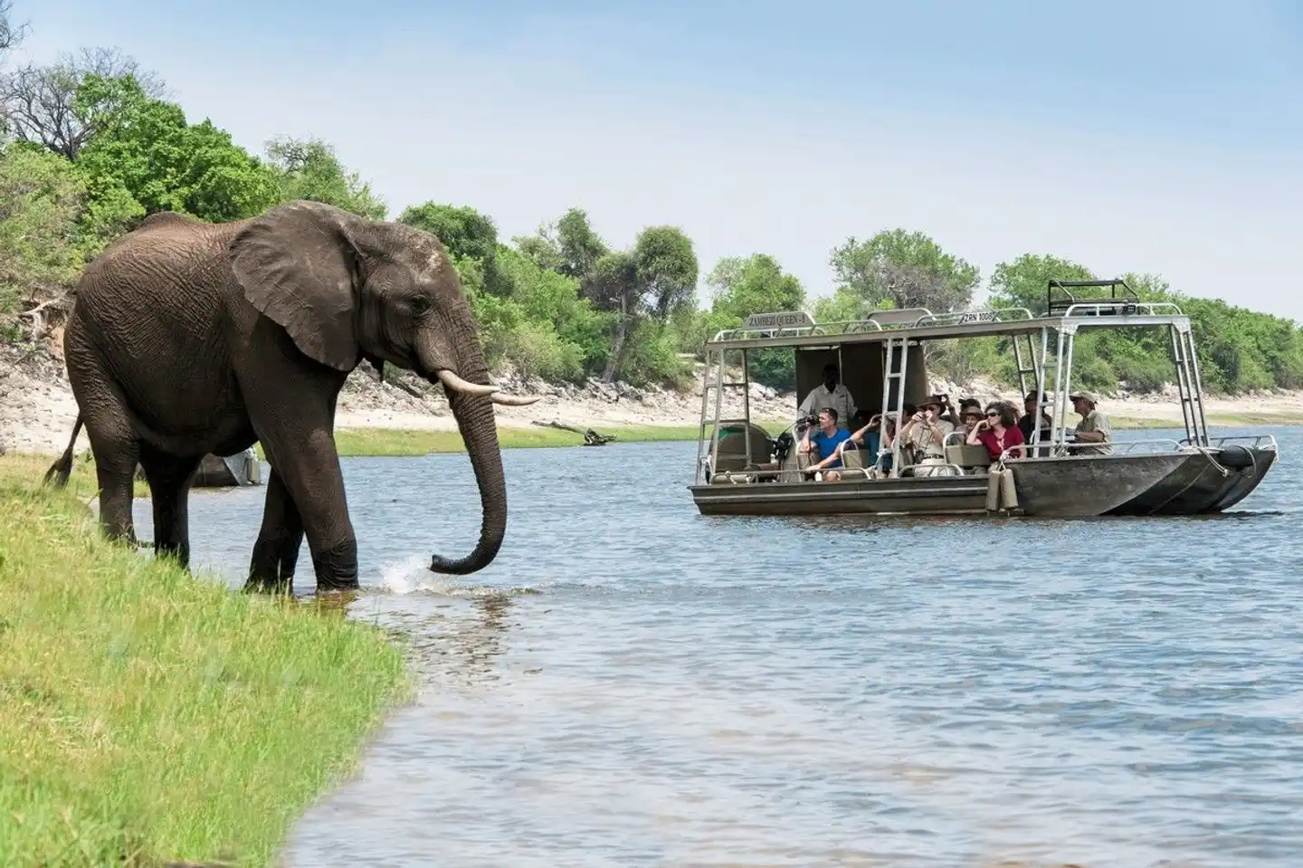 Zambezi Queen 2 Nächte Tiere