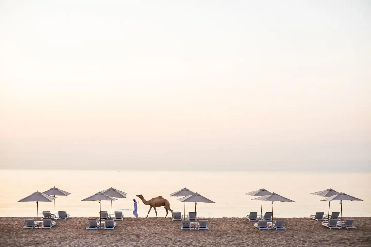 InterContinental Fujairah Resort Modellaufnahme