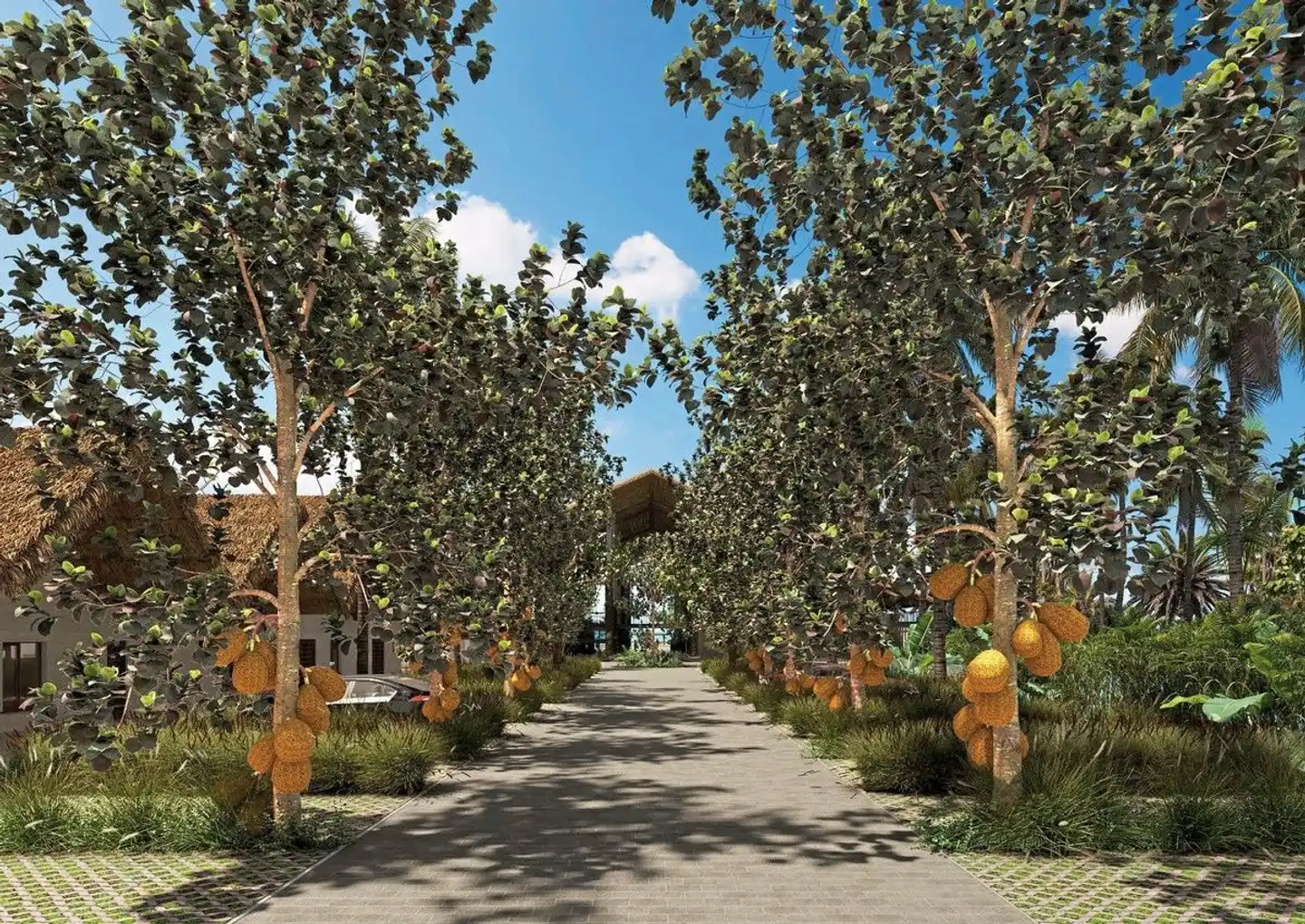 Jaz Aurora Beach Resort Garten