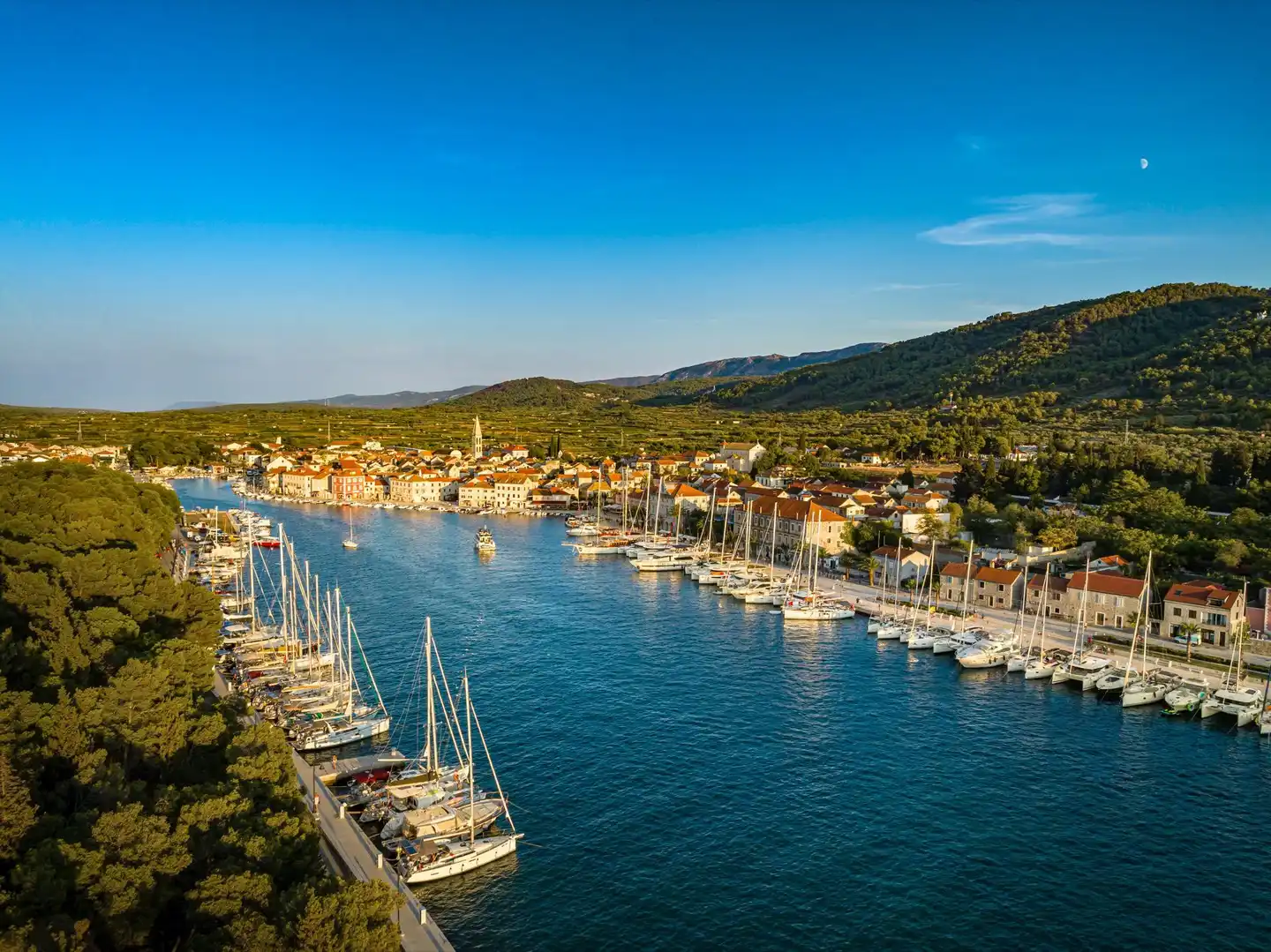Valamar Amicor Resort Landschaft