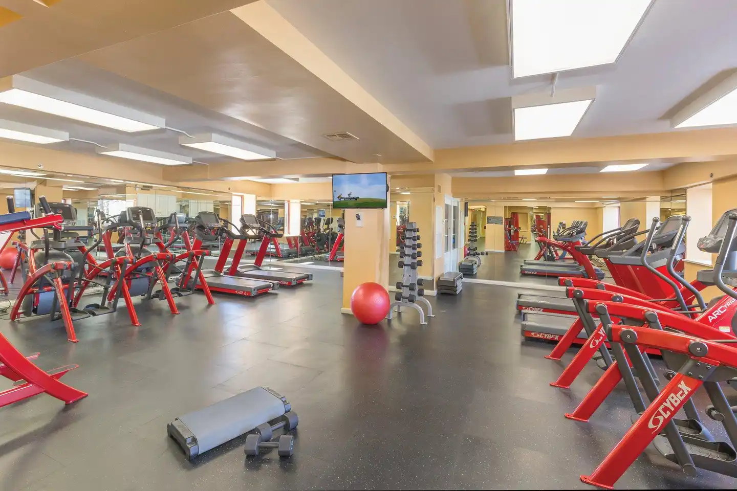Club Wyndham Avenue Plaza Sport und Entertainment