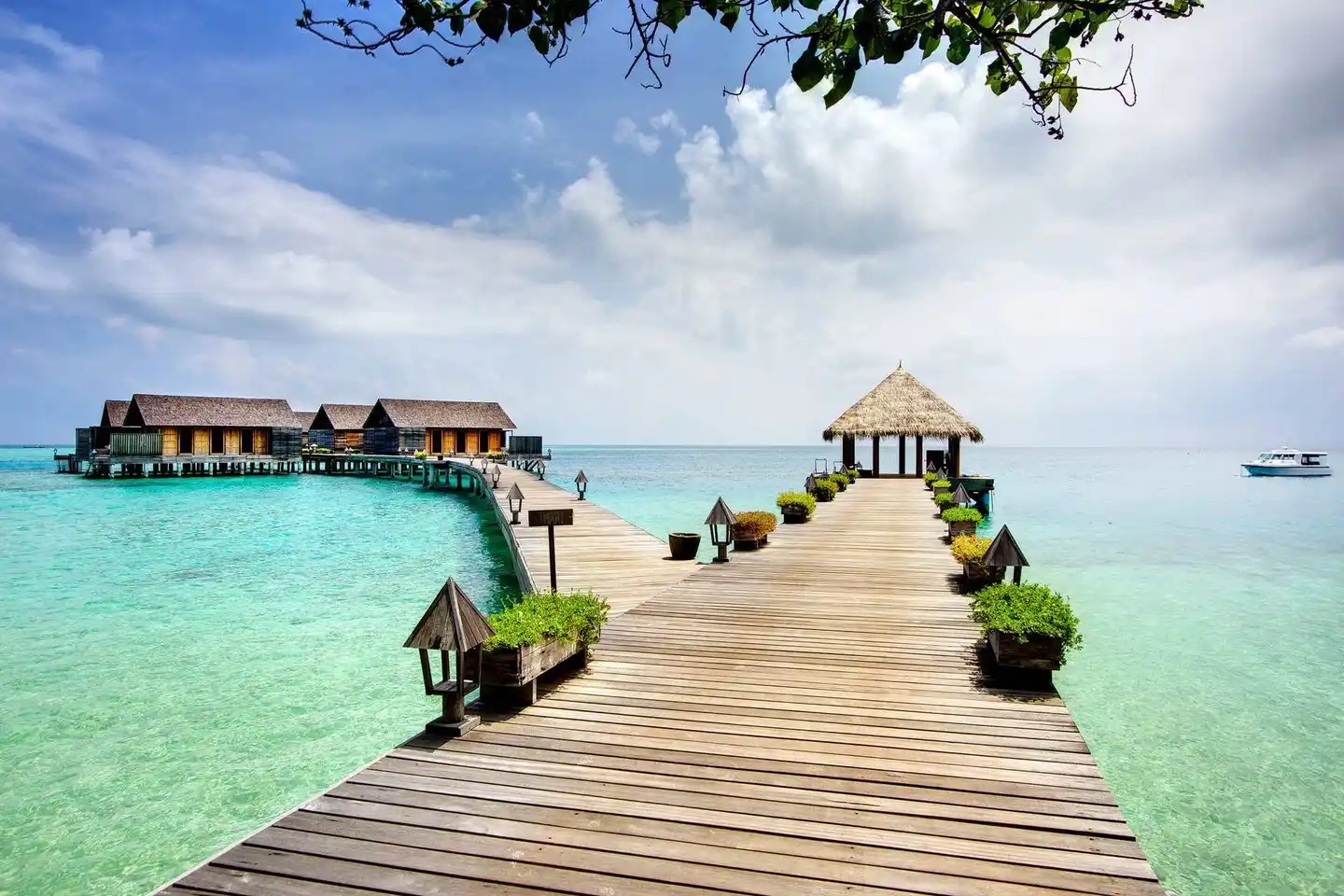 Gangehi Island Resort SCENERY