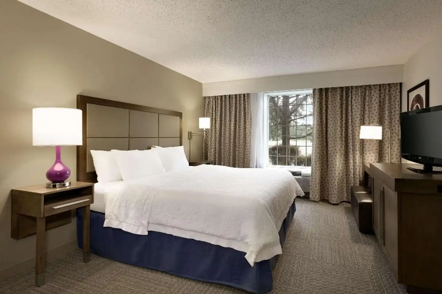 Hampton Inn & Suites Hershey Wohnbeispiel