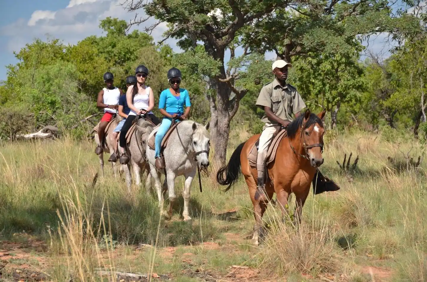 Mabula Game Lodge Tiere