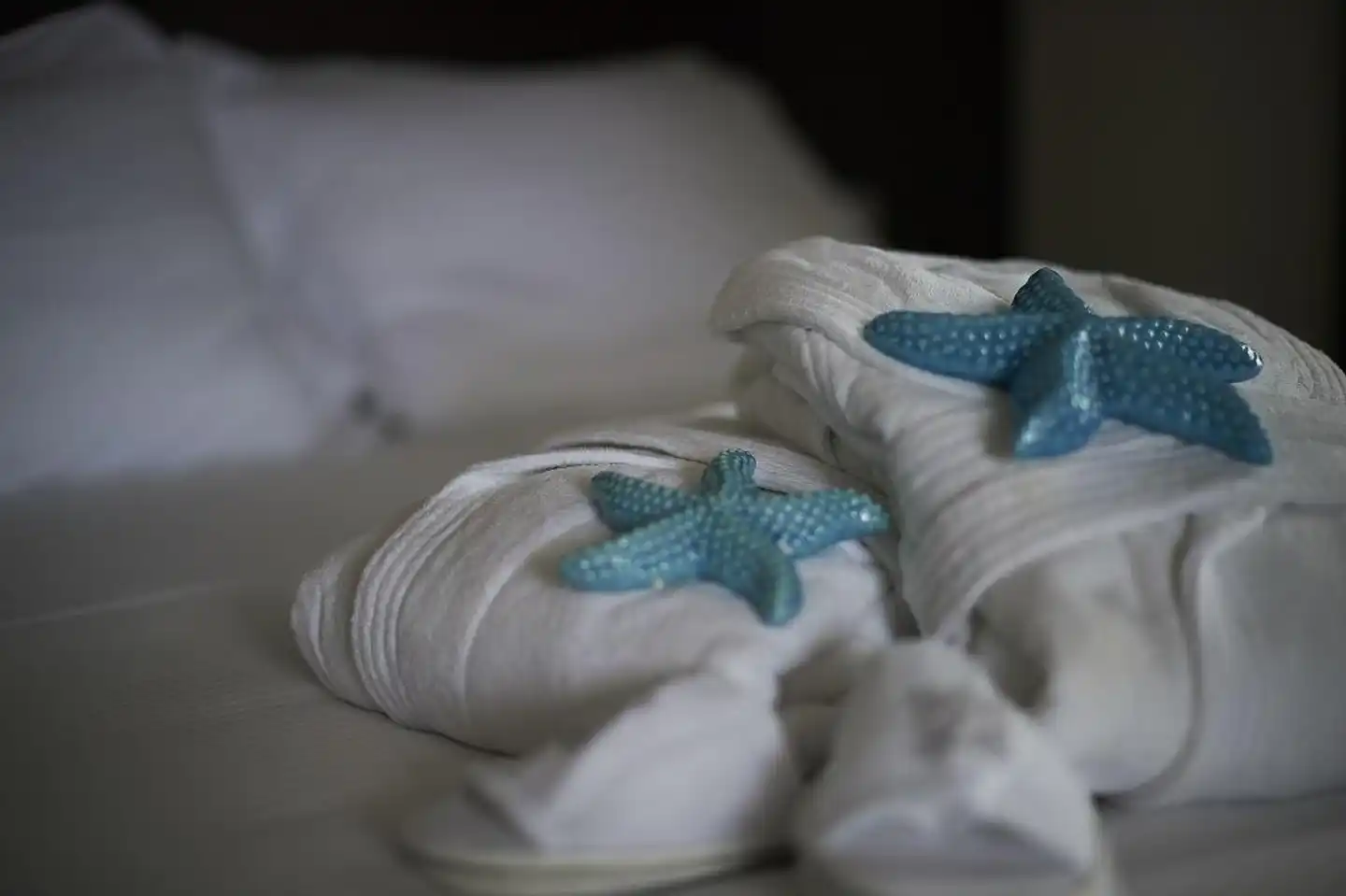 Alisei Palace Hotel Wellness