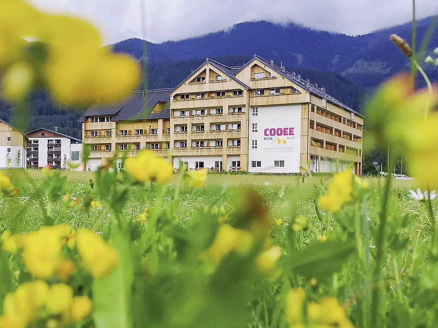 COOEE alpin Hotel Dachstein Aussenansicht