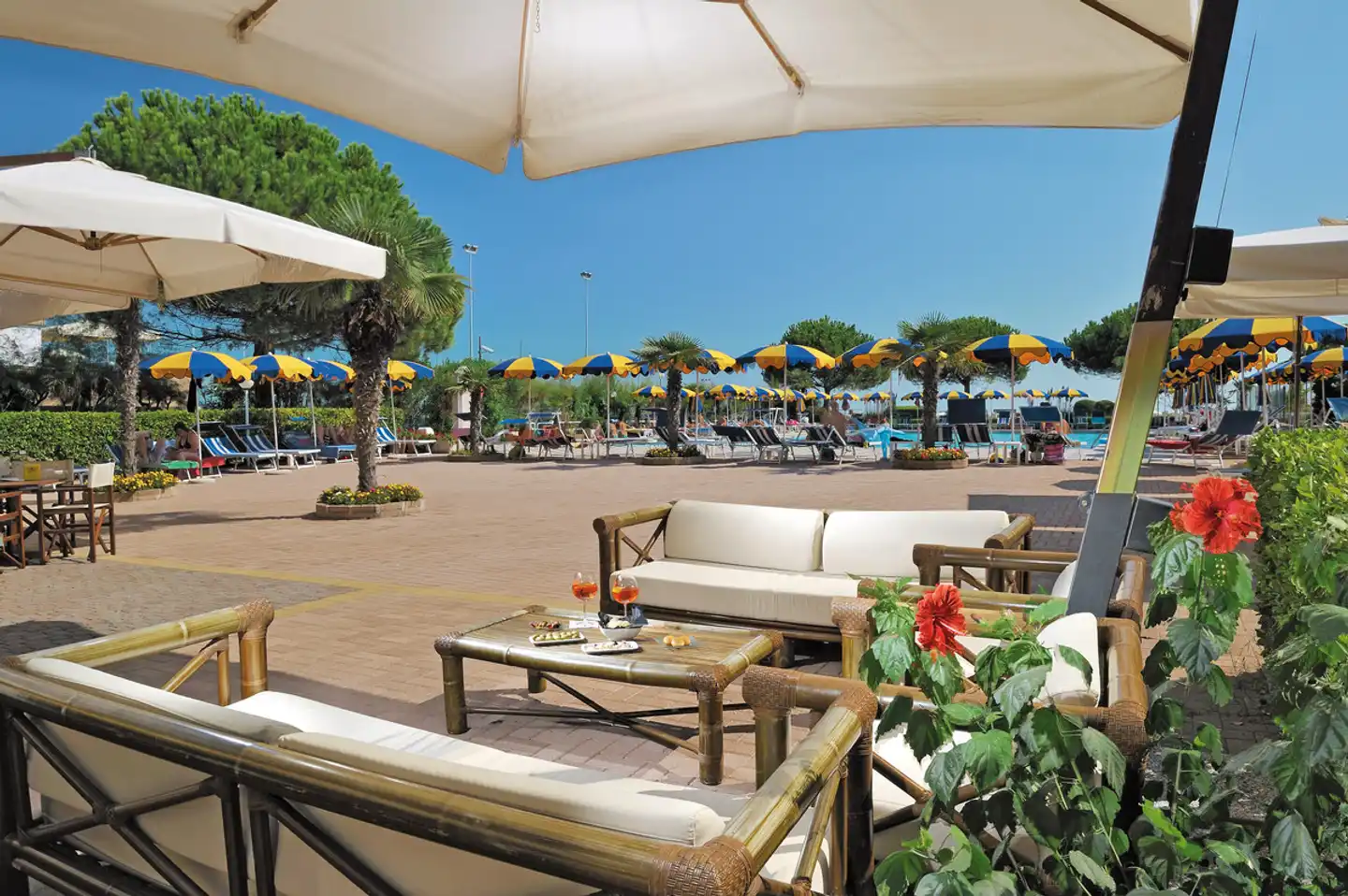 Bellevue Terrasse
