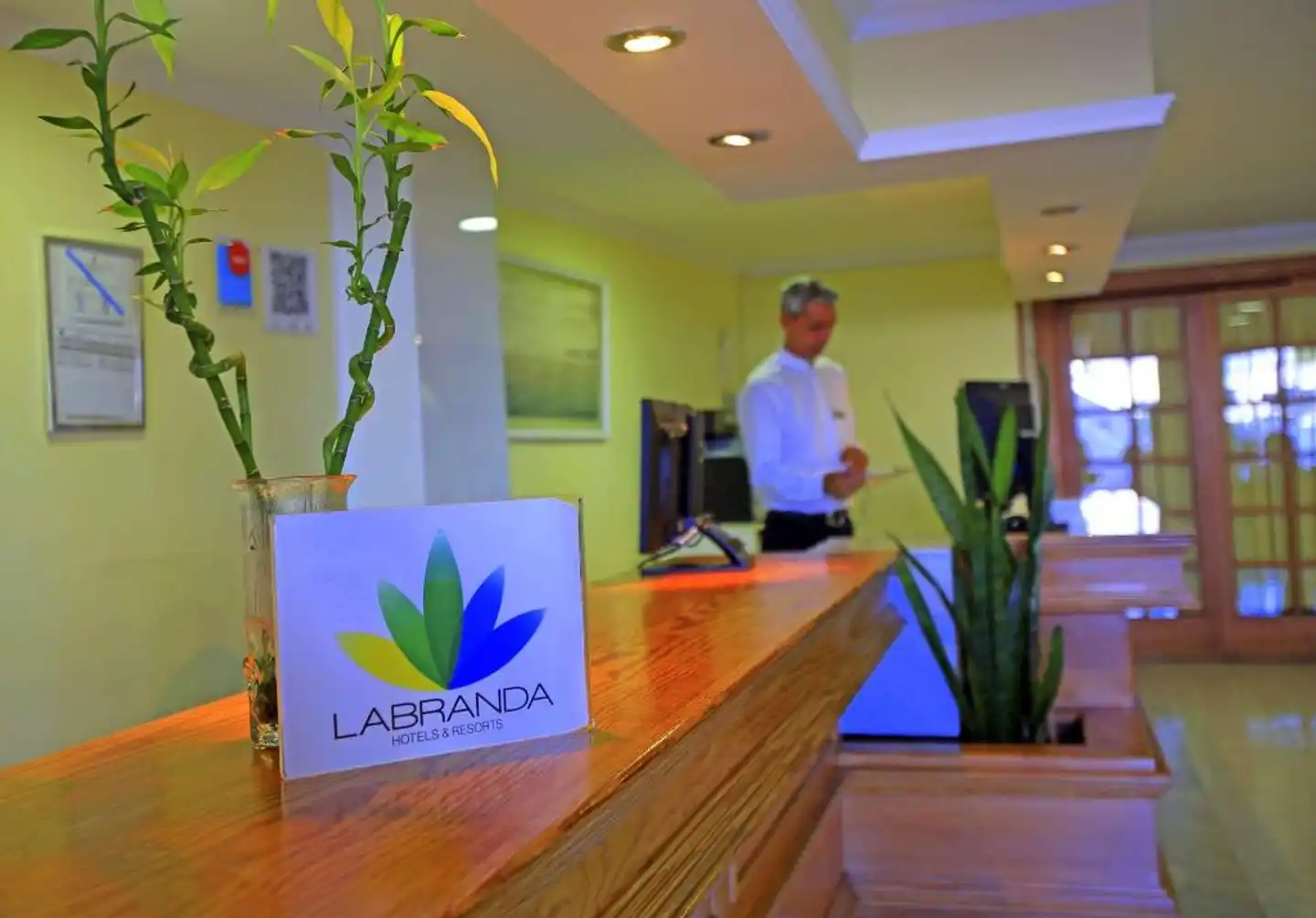Los Cocoteros Lobby