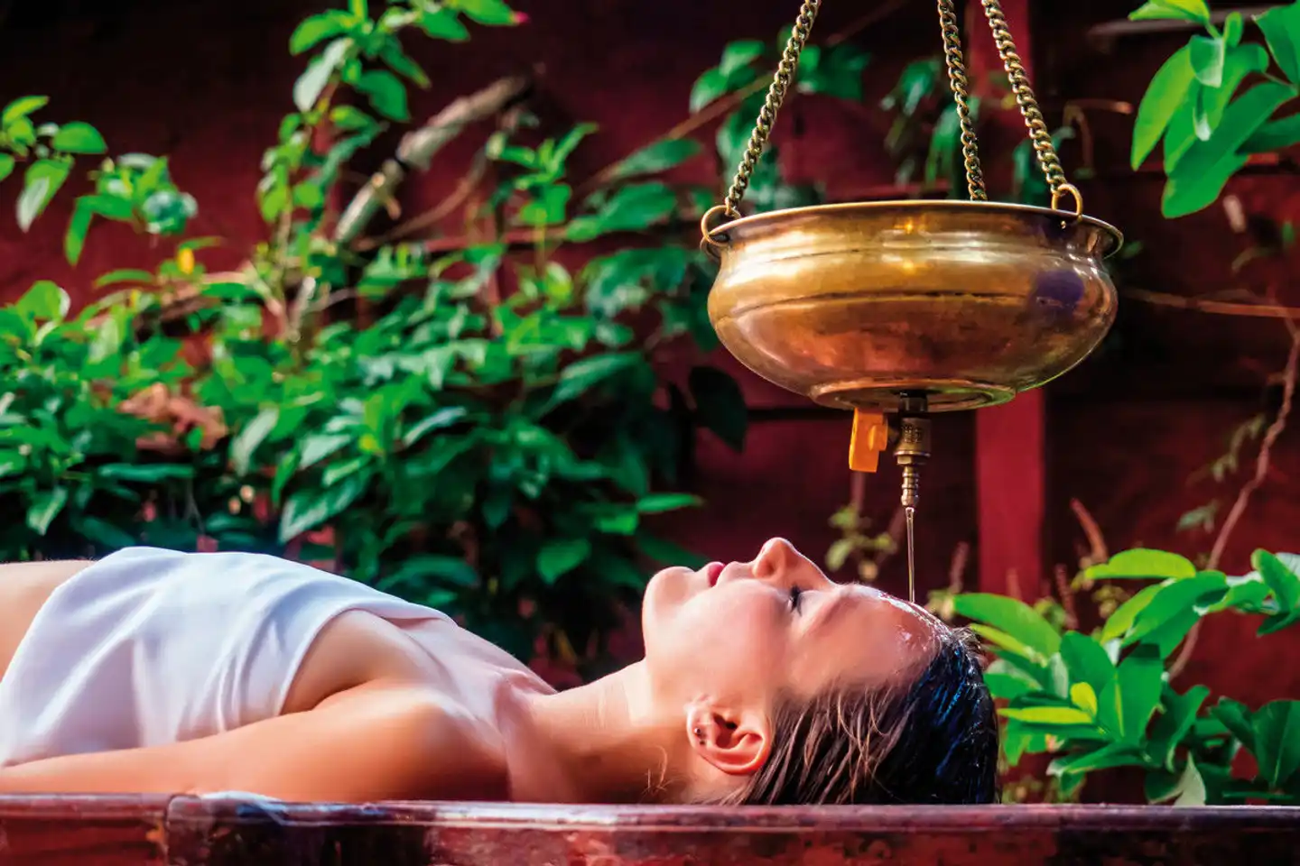 Ayurveda Resort Mandira Wellness
