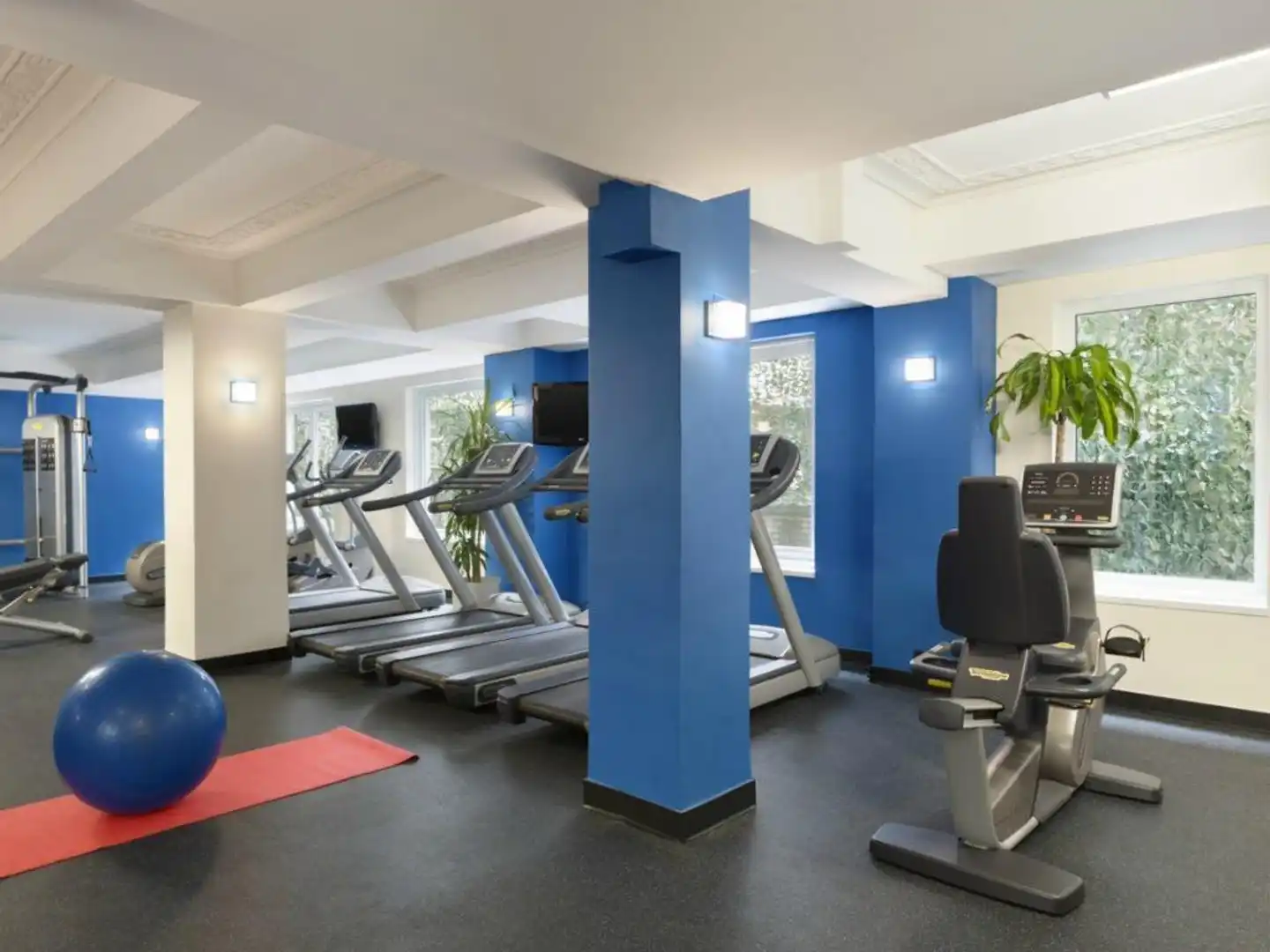 Edison Sport und Entertainment