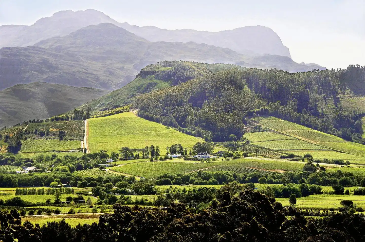 Mont Rochelle Hotel & Mountain Vineyard Landschaft