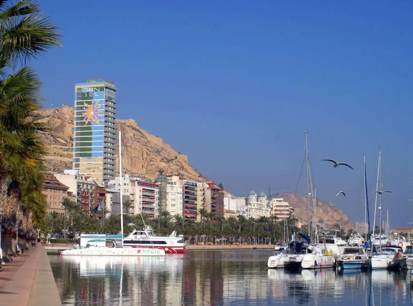 Alicante Gran Sol Affiliated by Melia Aussenansicht