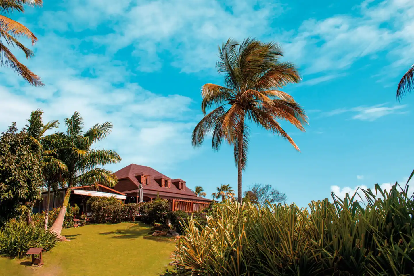 Le Jardin Malanga Landschaft
