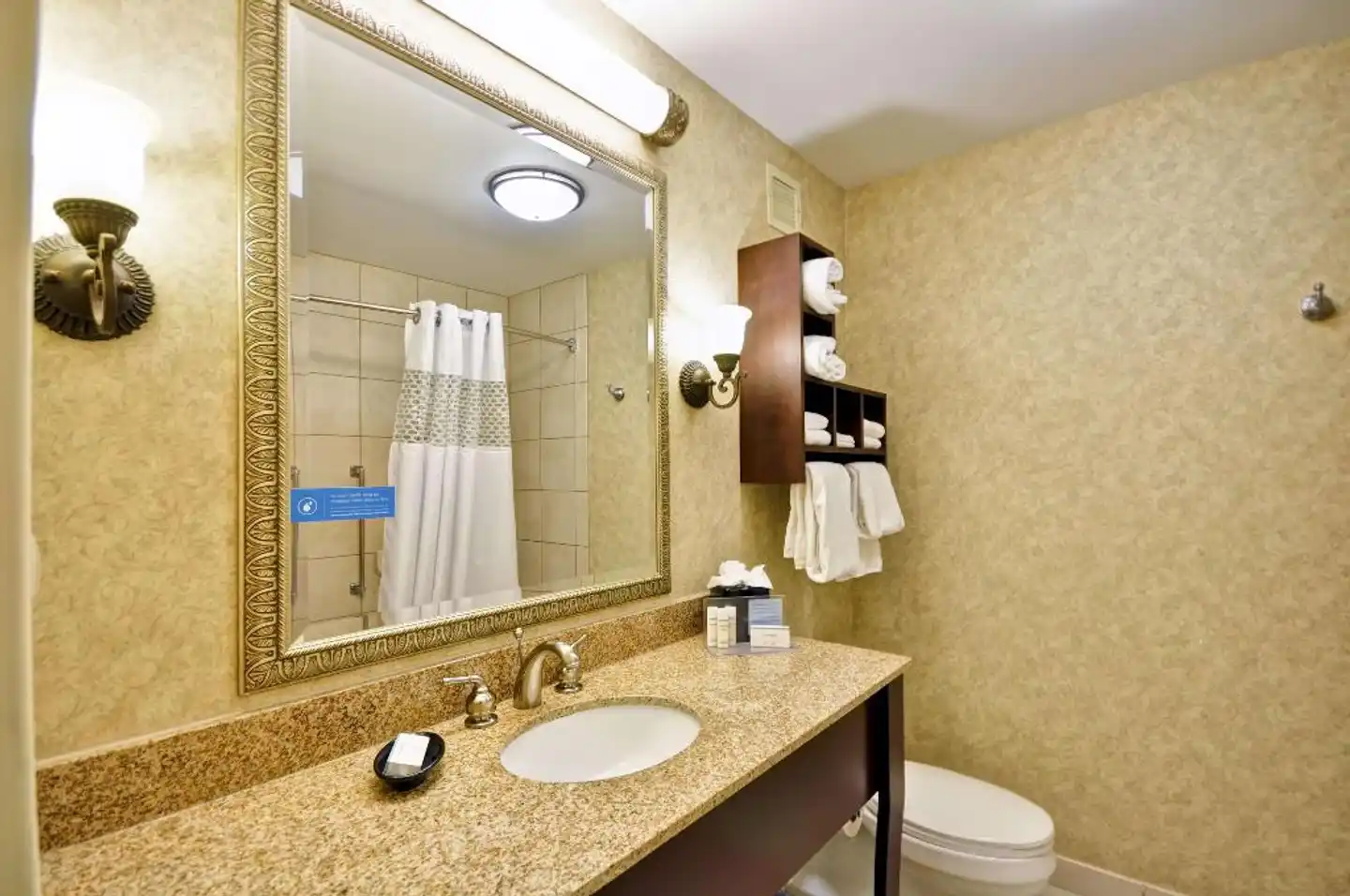 Hampton Inn Charleston-Historic District Badezimmer