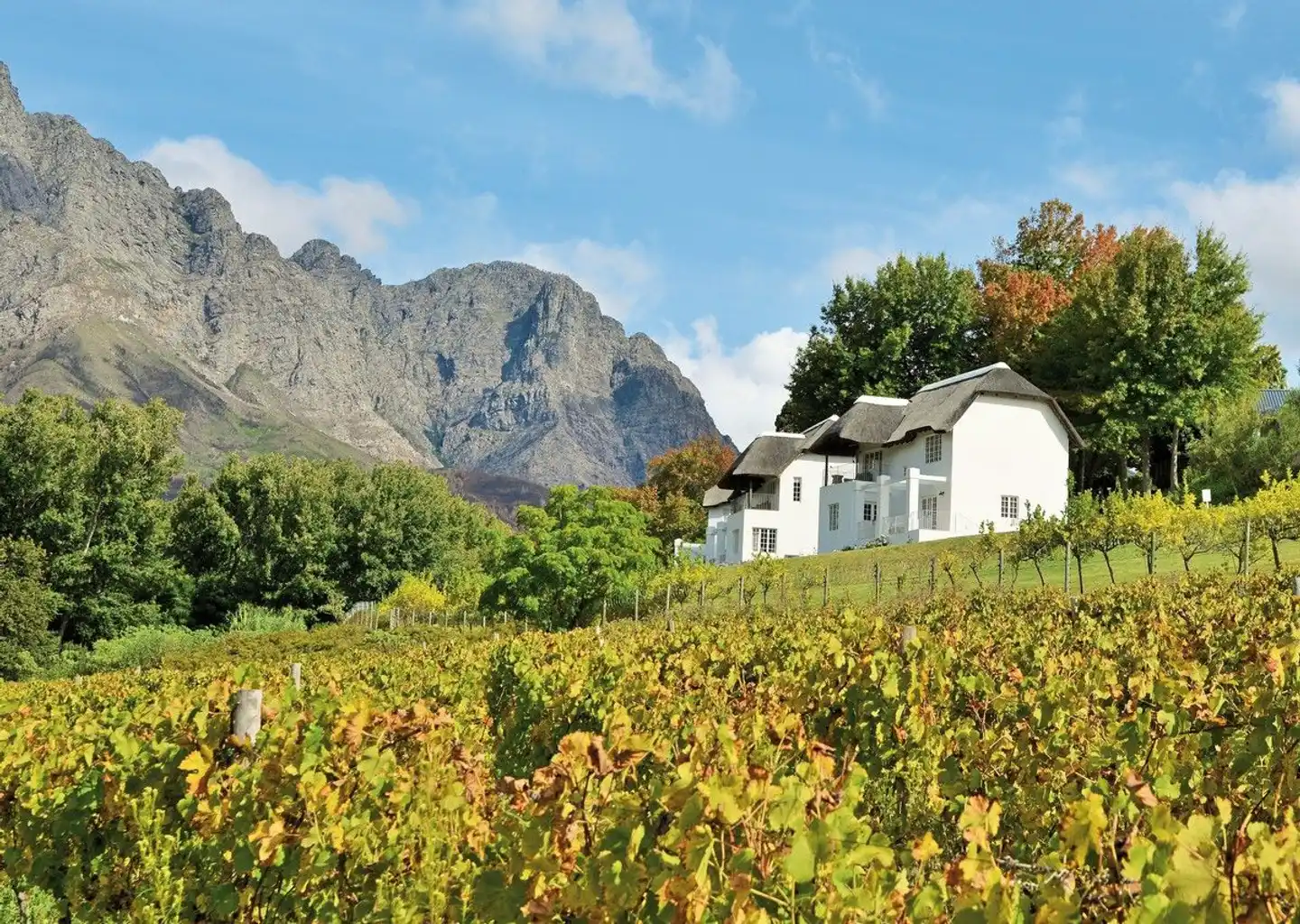 Le Franschhoek Hotel & Spa Landschaft