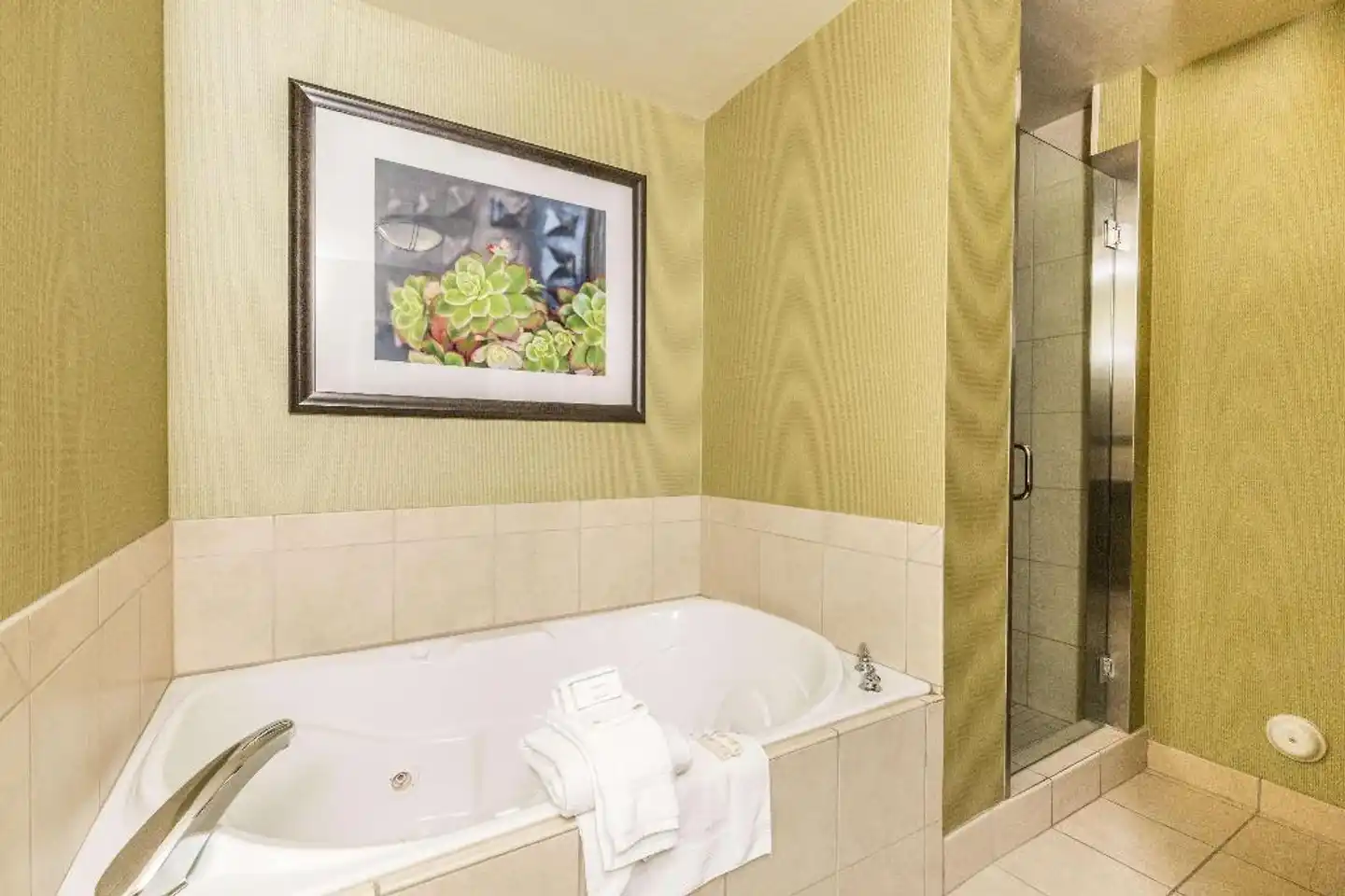 Hilton Garden Inn St. George Badezimmer