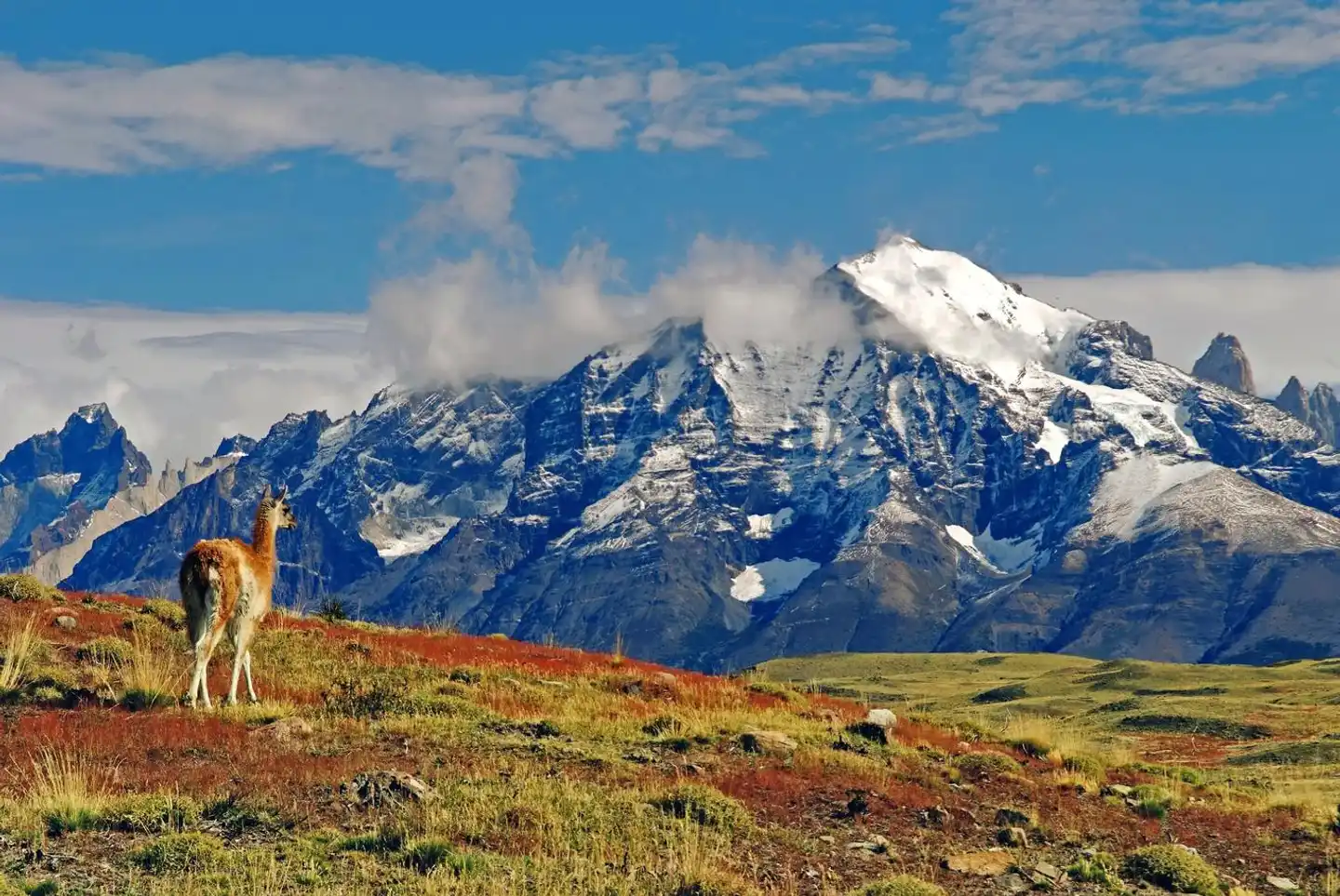 explora Patagonia Landschaft