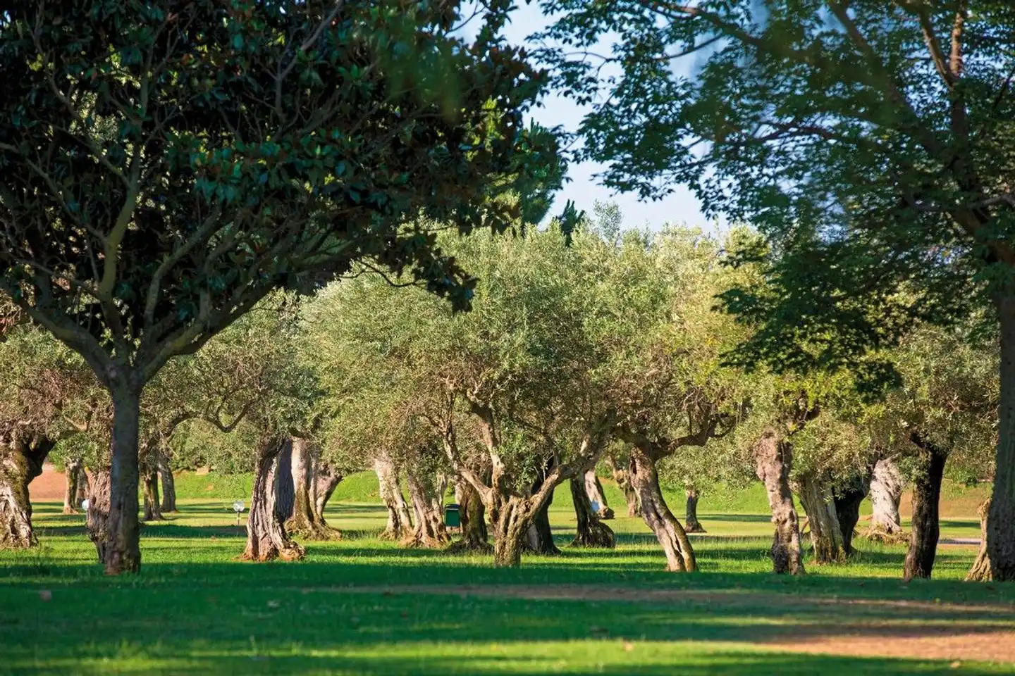 Mangia's Lipari Club Sport und Entertainment