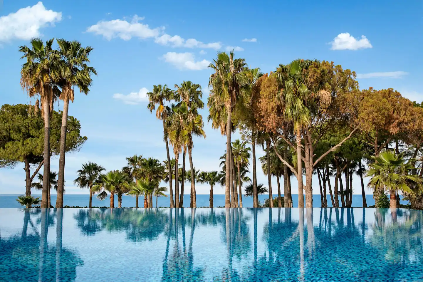 Acanthus & Cennet Barut Collection Pool
