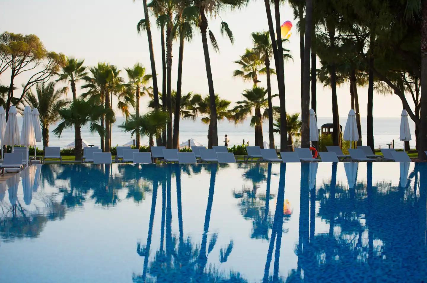 Acanthus & Cennet Barut Collection Pool
