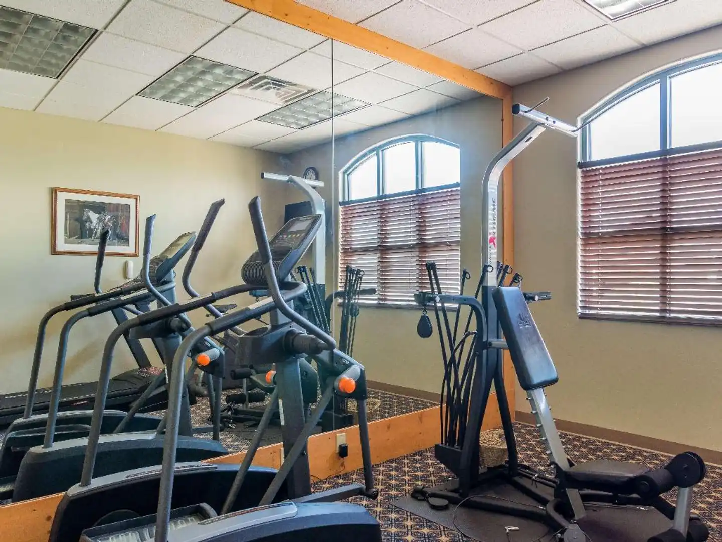 Best Western Alamosa Inn Sport und Entertainment