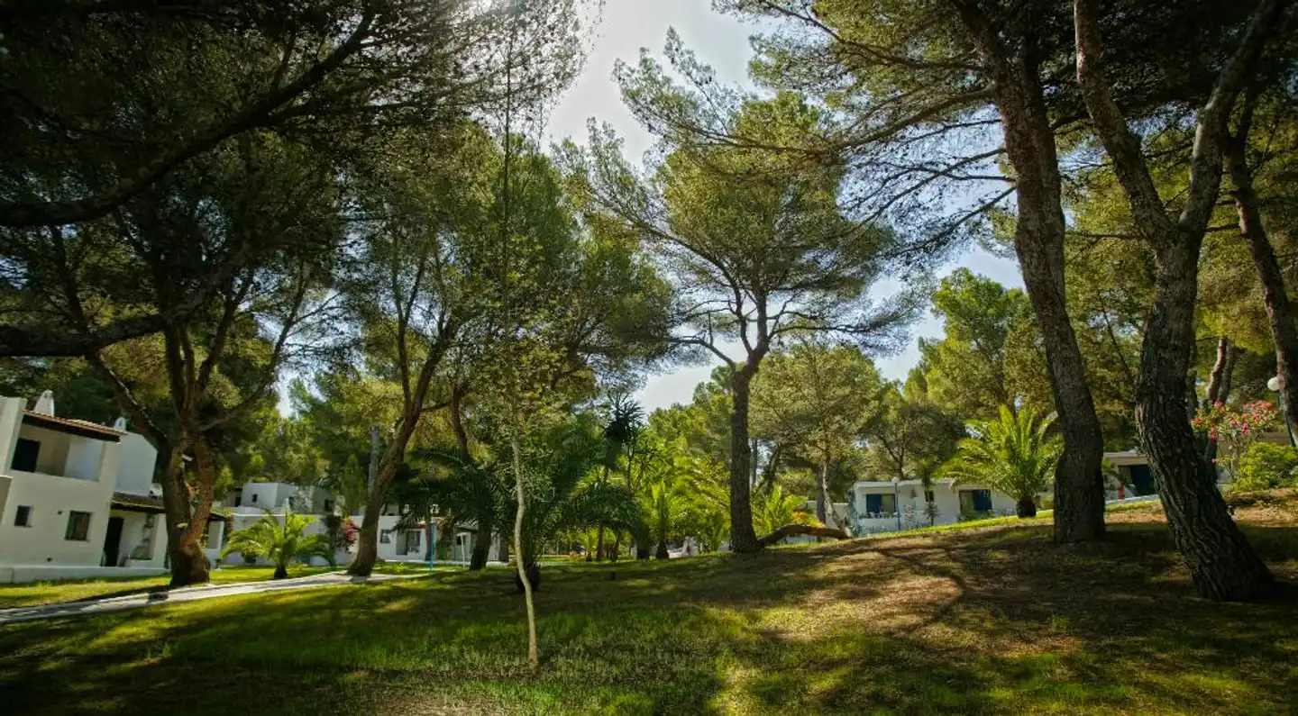 Insotel Club Maryland Landschaft