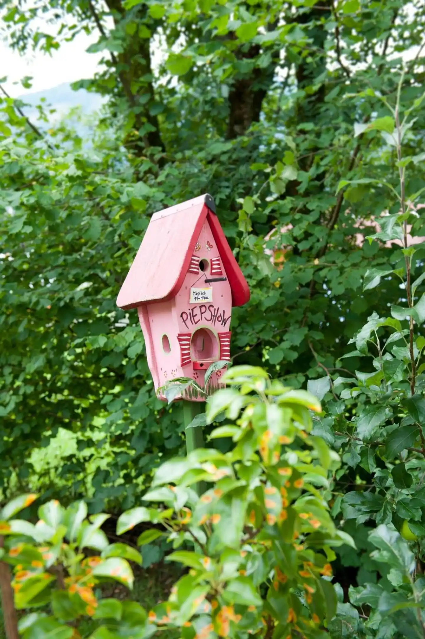 Eschenhof Garten