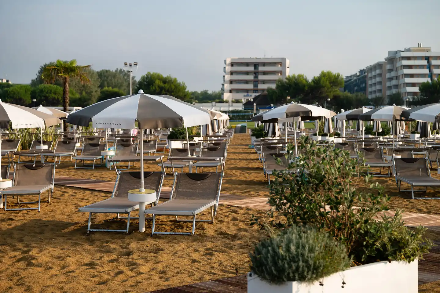 Holiday Strand