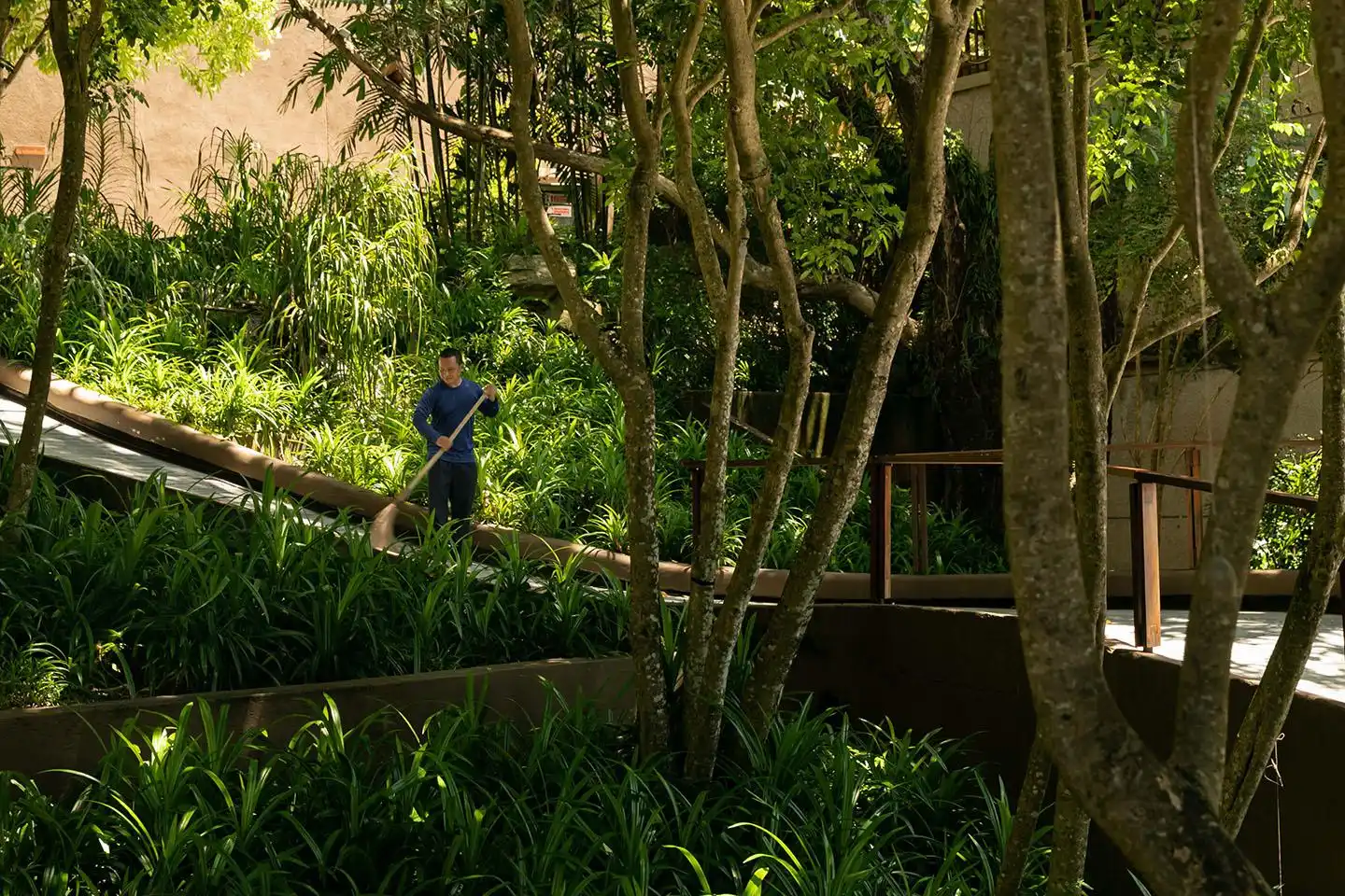Paresa Resort Garten