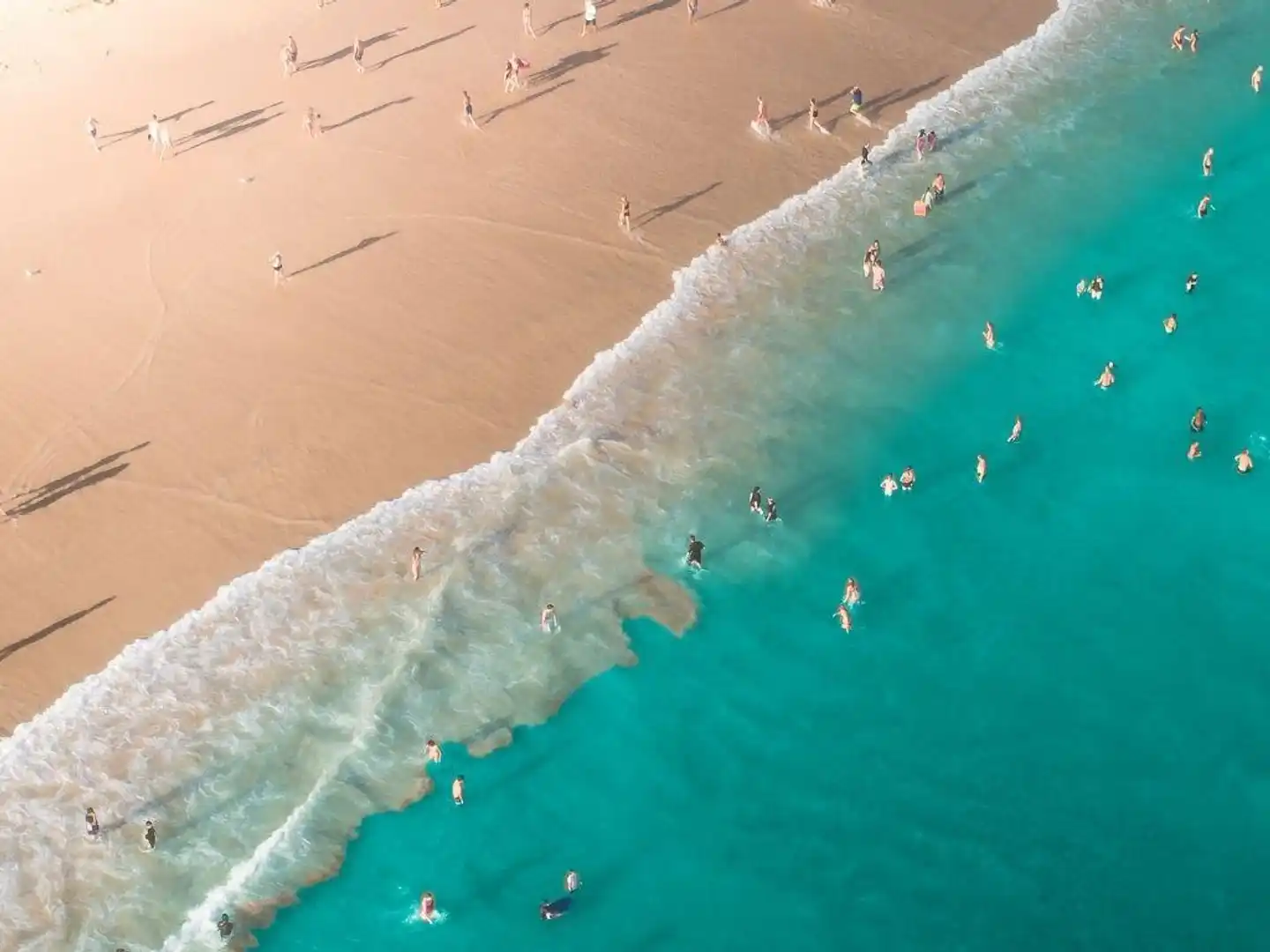 Radisson Blu Resort, Fujairah Tiere