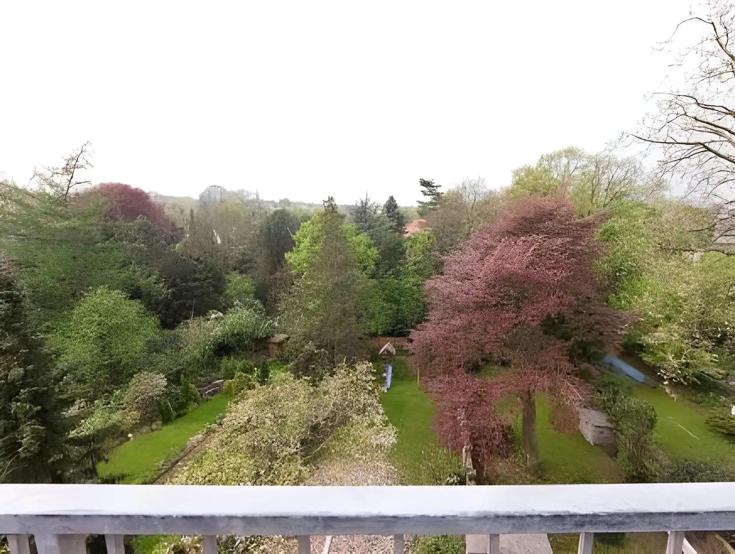 Friederike Garten