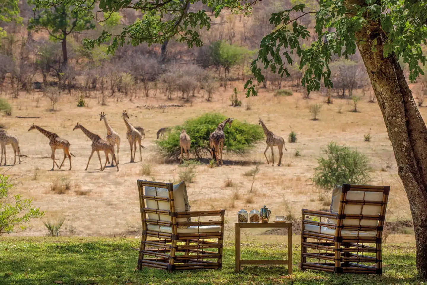 The Stanley & Livingstone at Victoria Falls Tiere