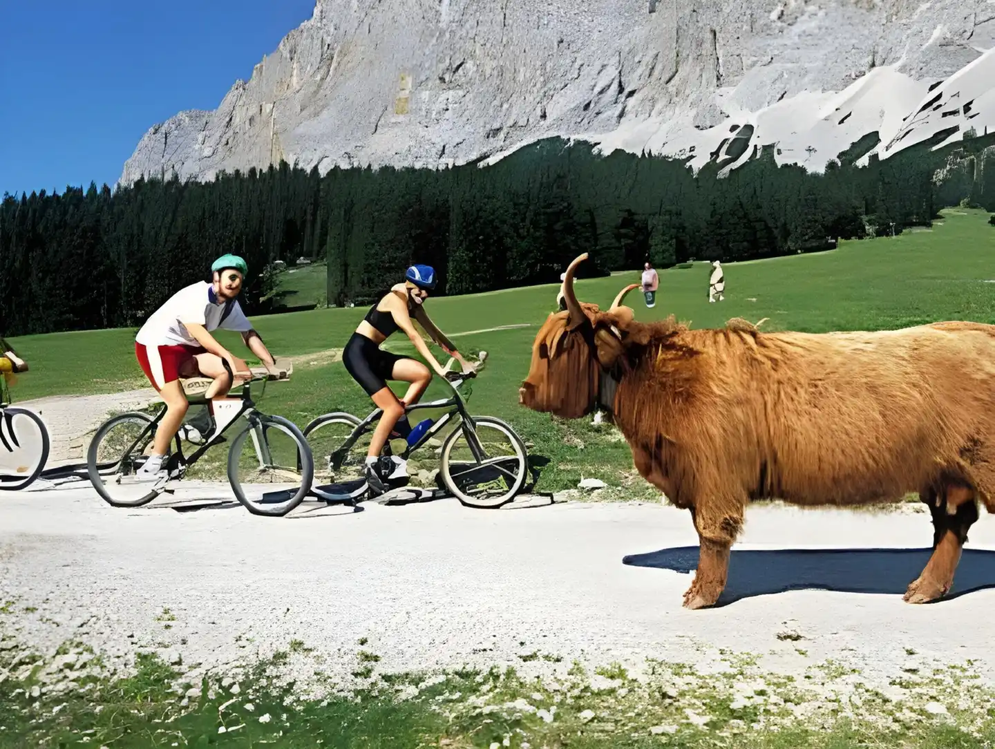 Alpenland Tiere