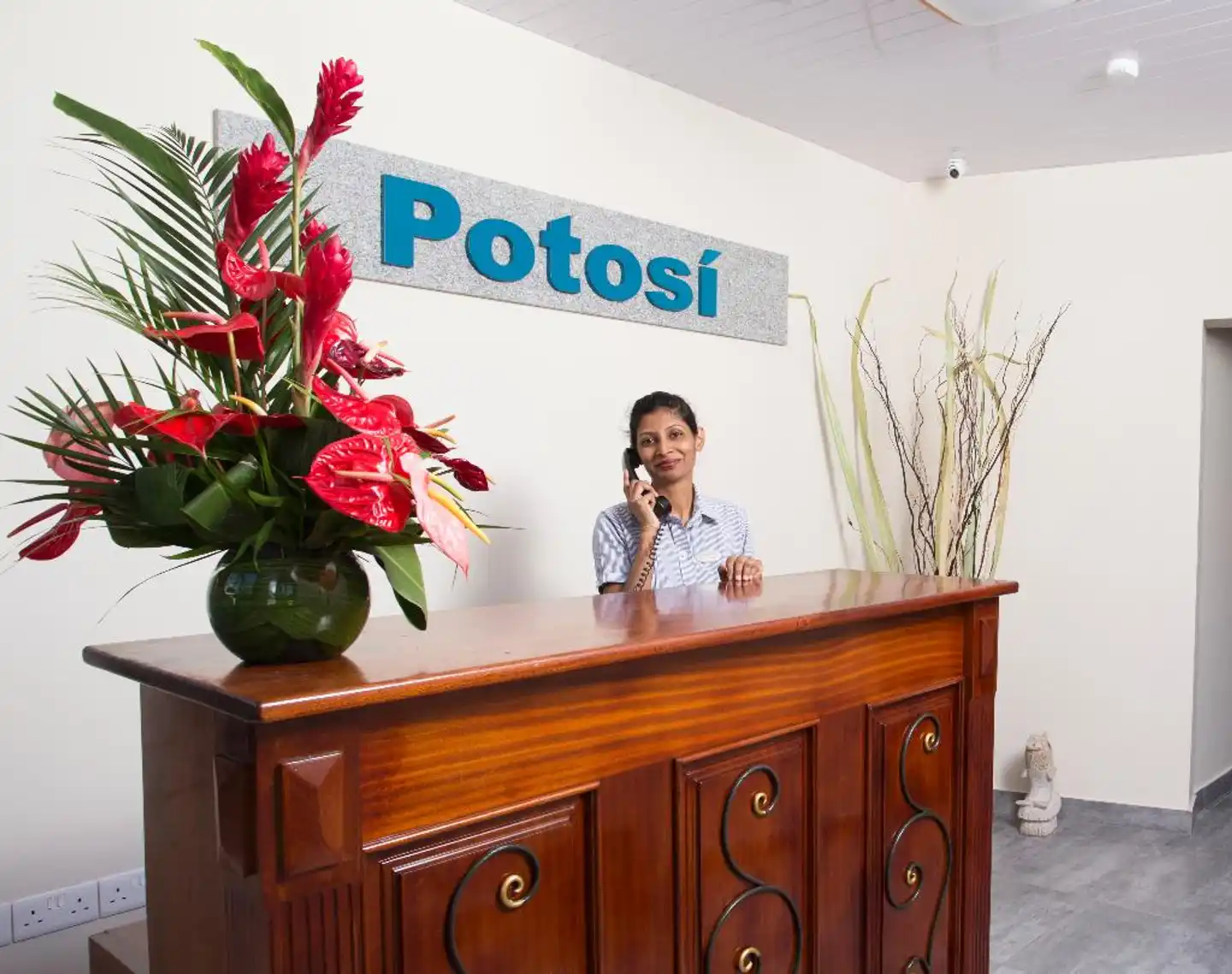 Residence Potosi Lobby