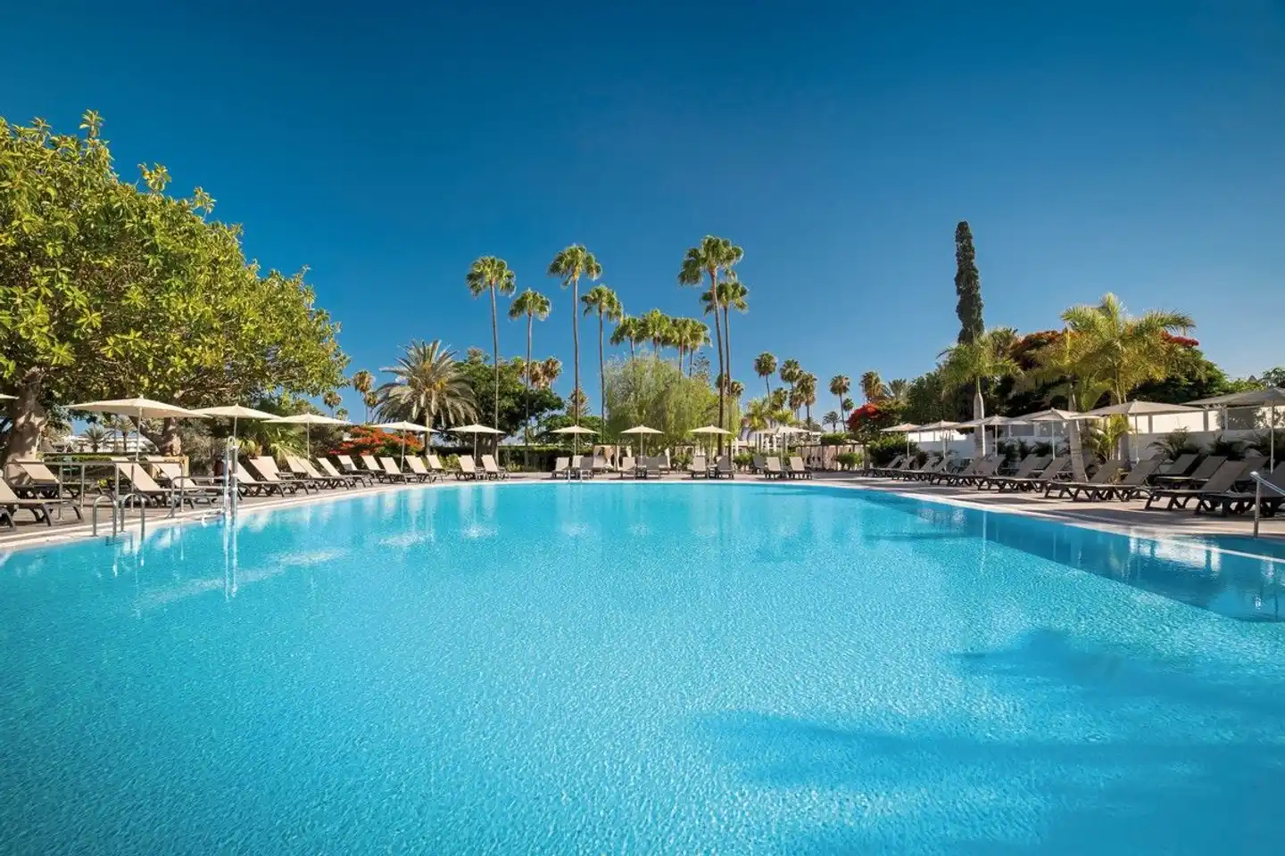Barceló Margaritas ROYAL LEVEL Pool