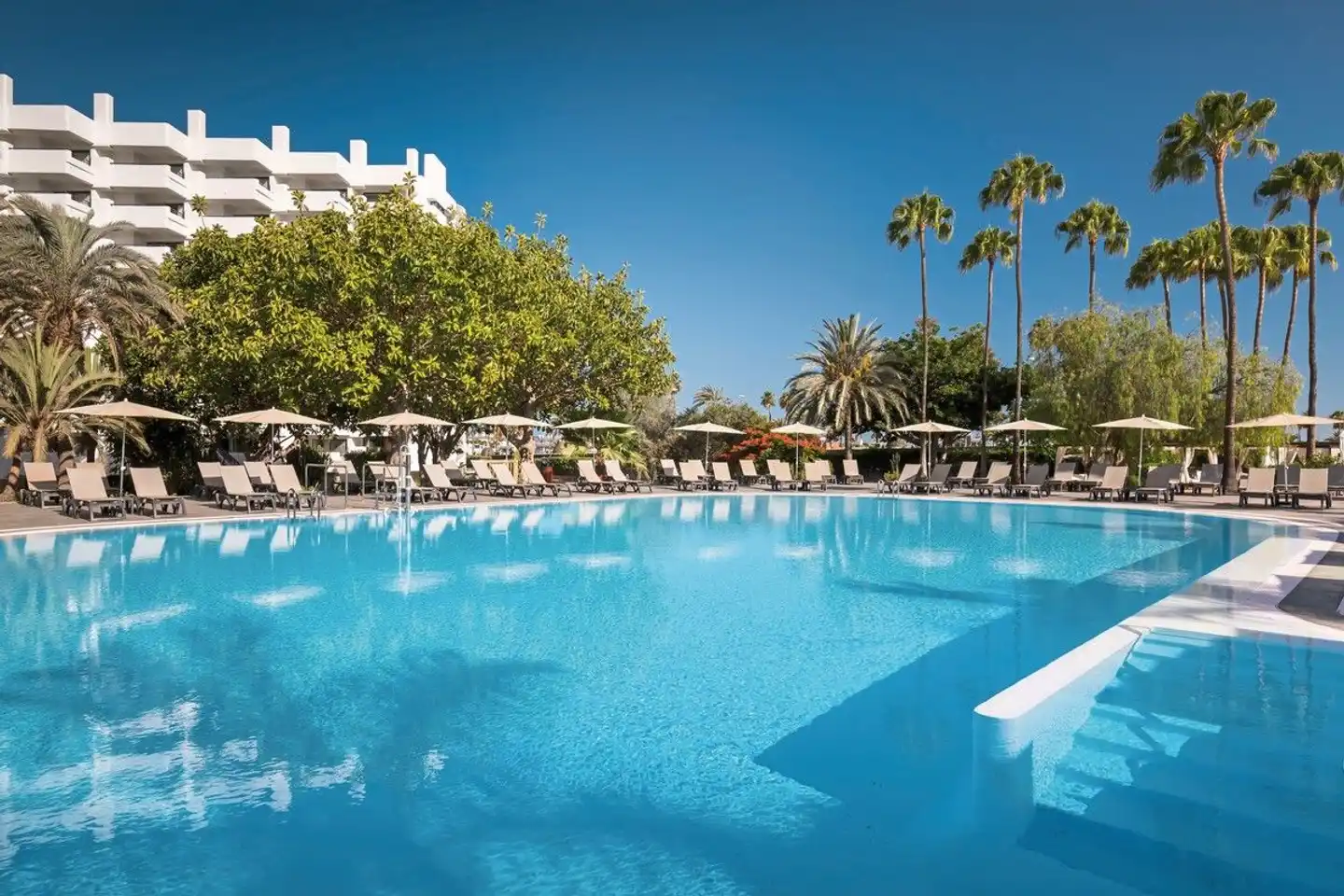 Barceló Margaritas ROYAL LEVEL Pool
