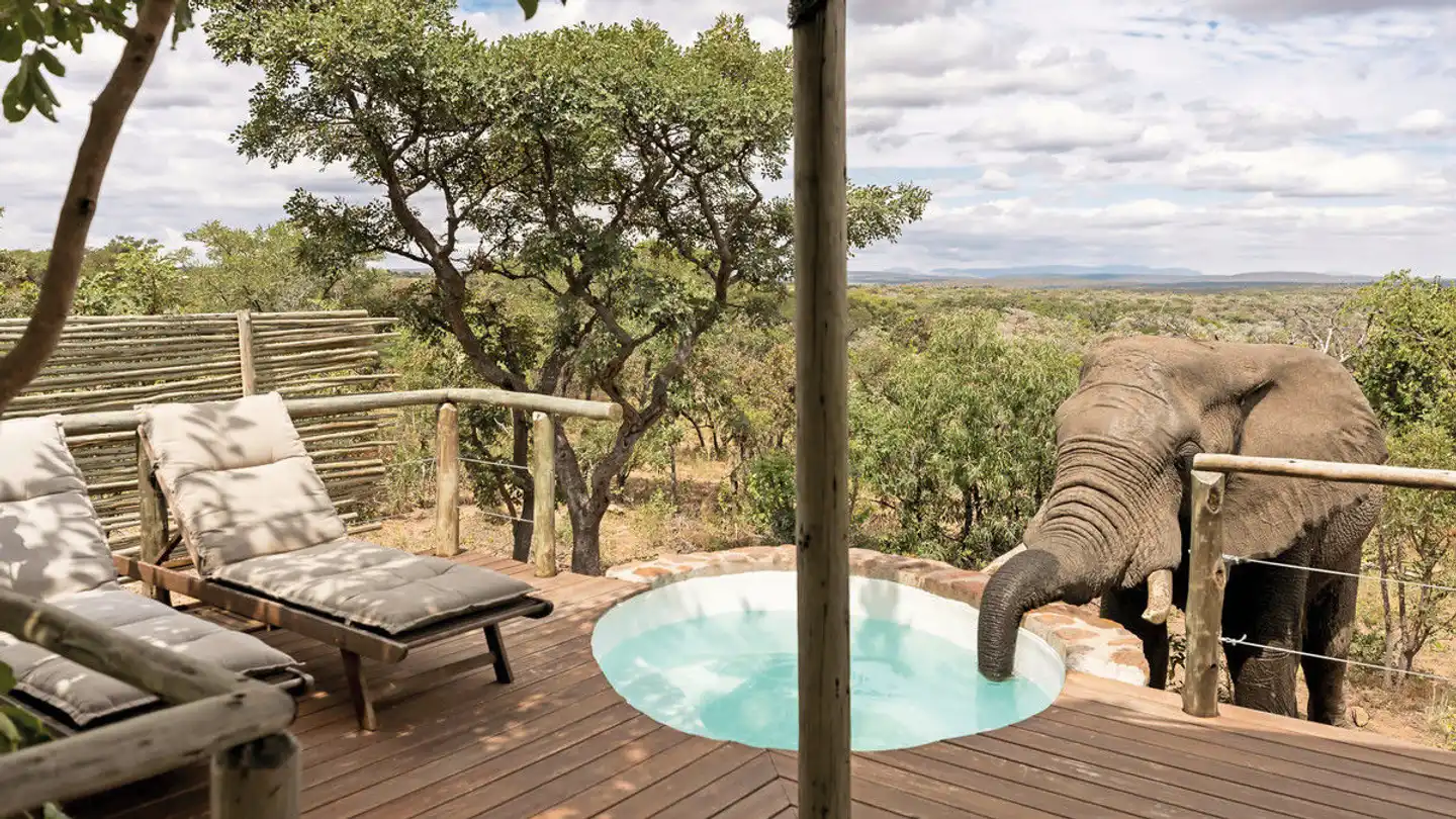 Elephants Crossing Lodge Wellness